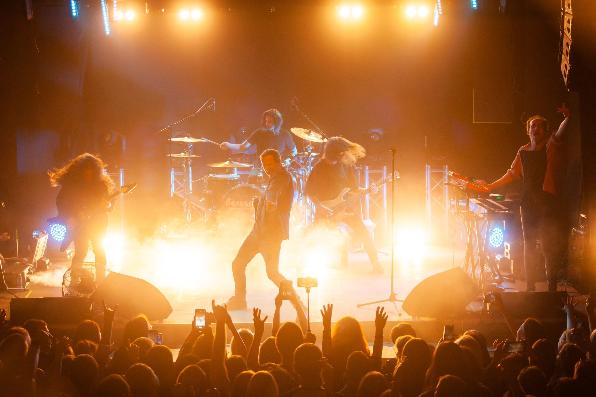 Animal ДжаZ. Репортажный фотограф Алексей Пирязев