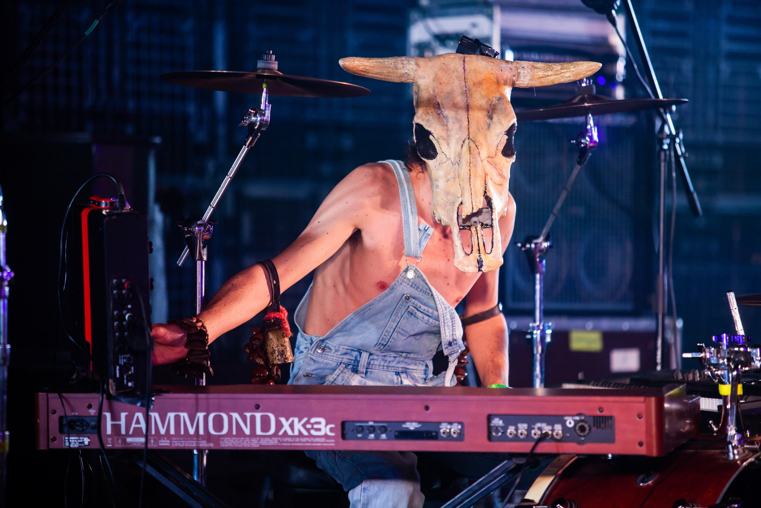 2019. Репортажный фотограф Алексей Пирязев