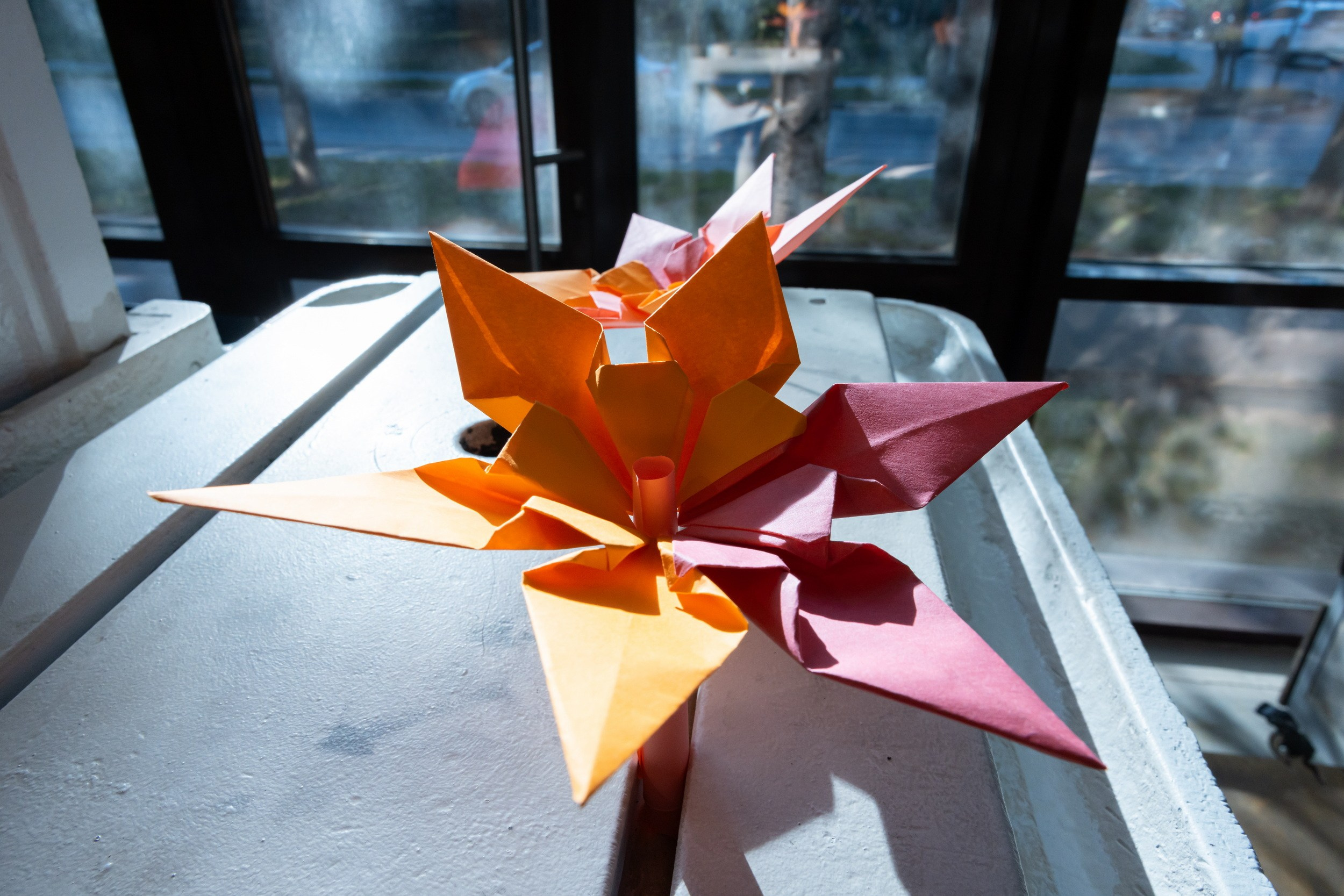 Фестиваль азиатской культуры Аой-мацури (25 мая 2025). Репортажный фотограф Алексей Пирязев