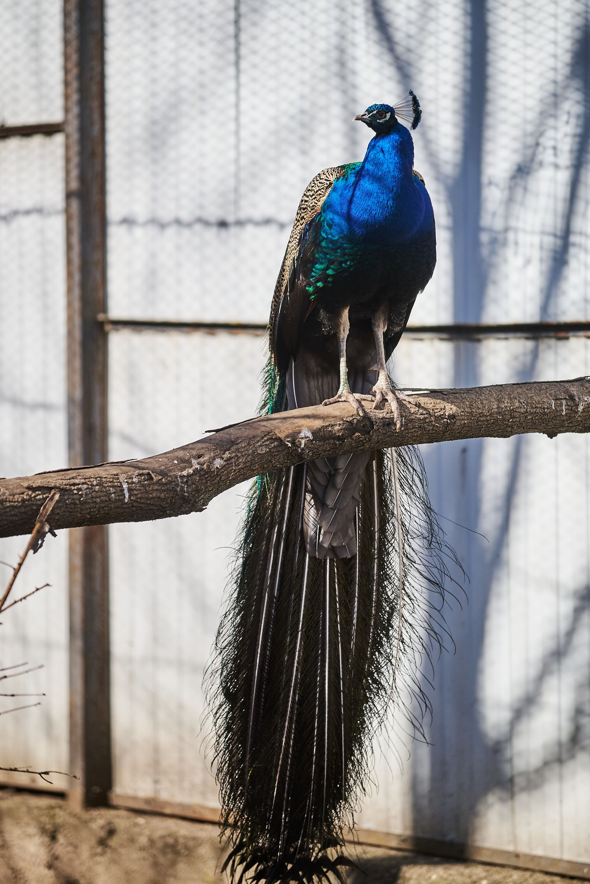 Зоопарк Иваново. Фотограф в Иваново: Каталожная съемка одежды и постельного белья, Wildberries