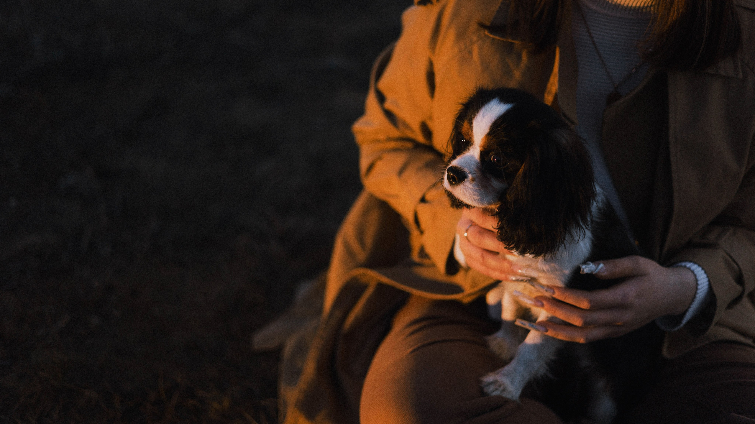 Ангелина и Йен. Фотограф-анималист Богданова Полина