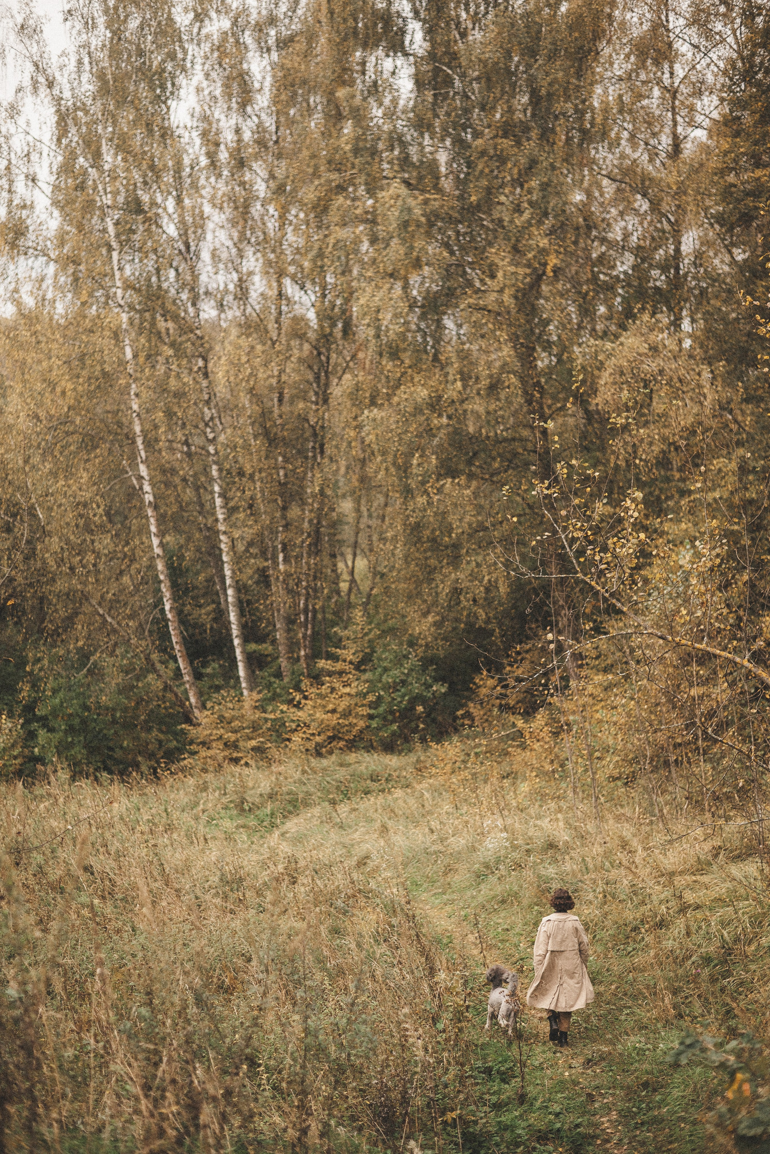 Алёна и Смоки. Фотограф-анималист Богданова Полина