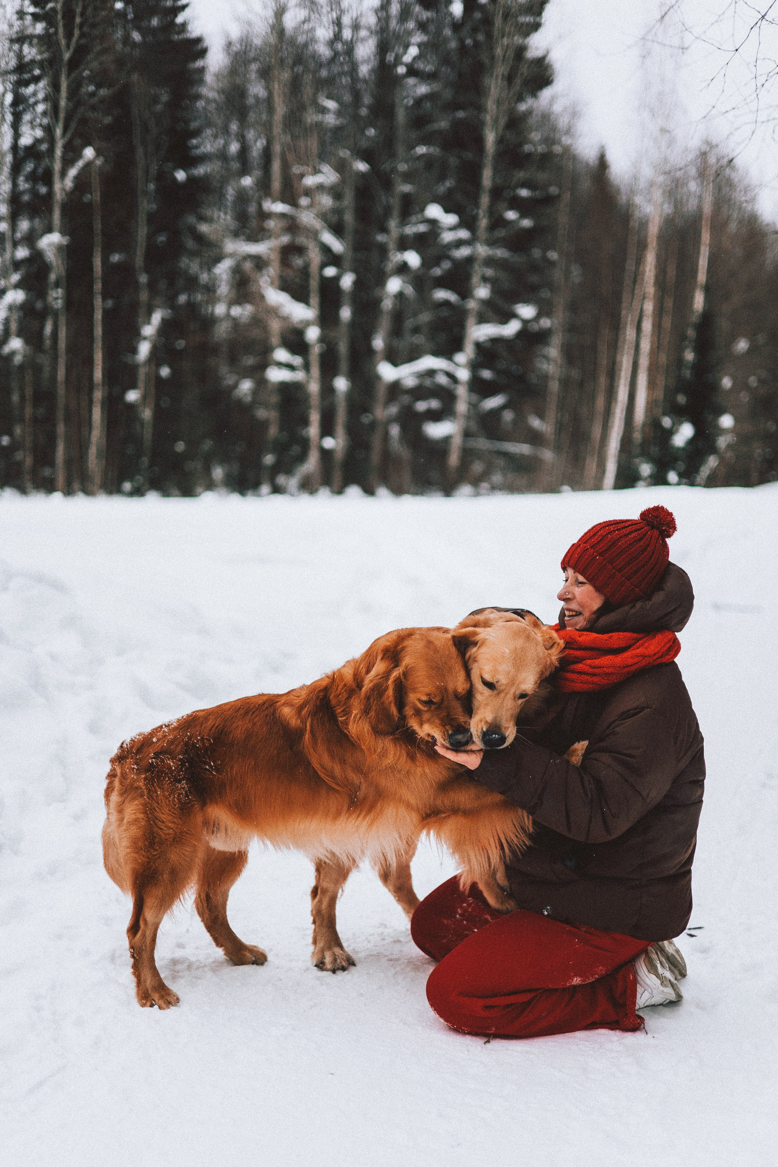 Саша, Юля, Грэй и Джой. Фотограф-анималист Богданова Полина