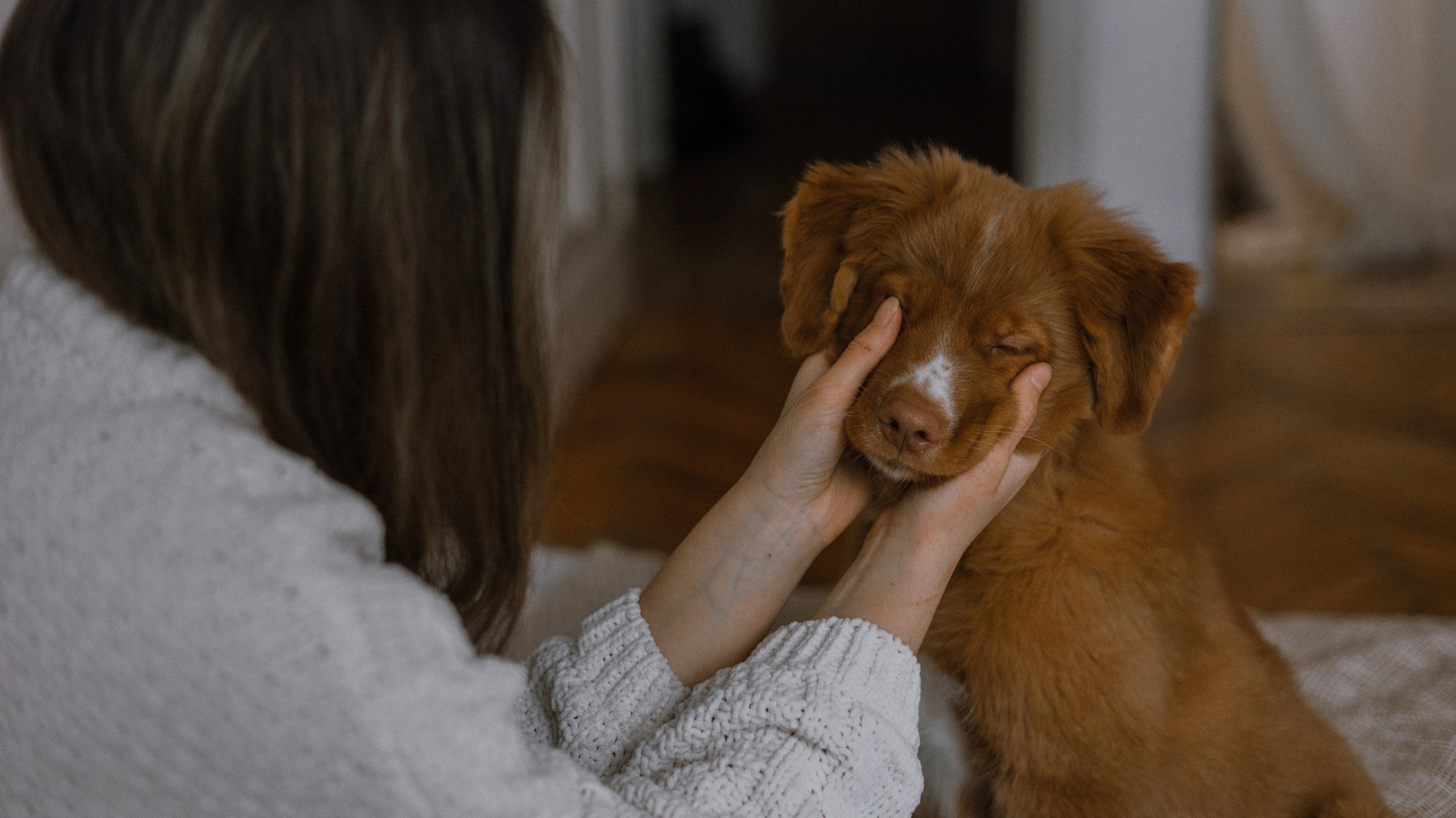 Маша, Одди и Нэвил. Фотограф-анималист Богданова Полина