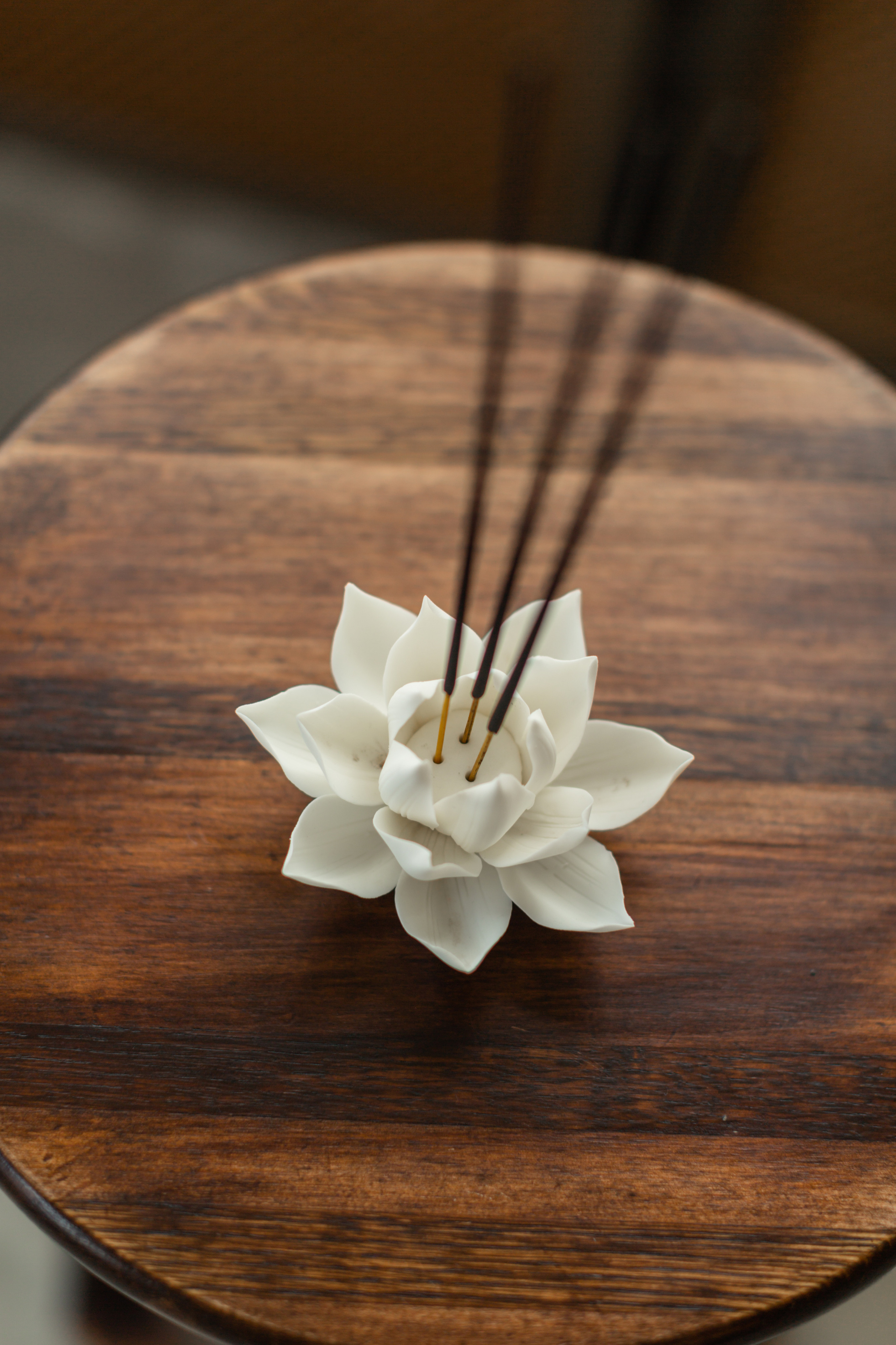 Контент фотограф красноярск. Портретный фотограф в Красноярске Акифьева Евгения