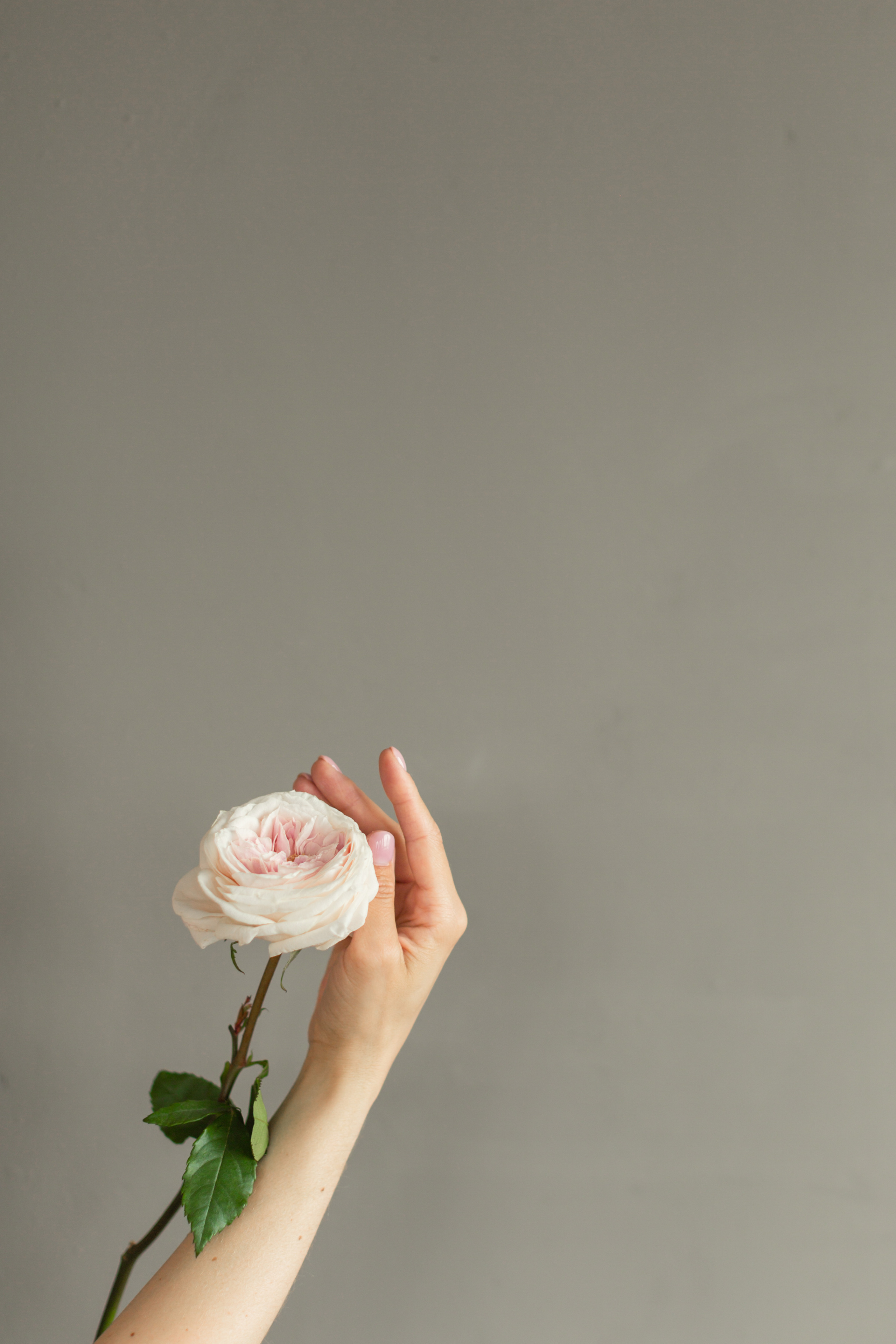 Контент фотограф красноярск. Портретный фотограф в Красноярске Акифьева Евгения