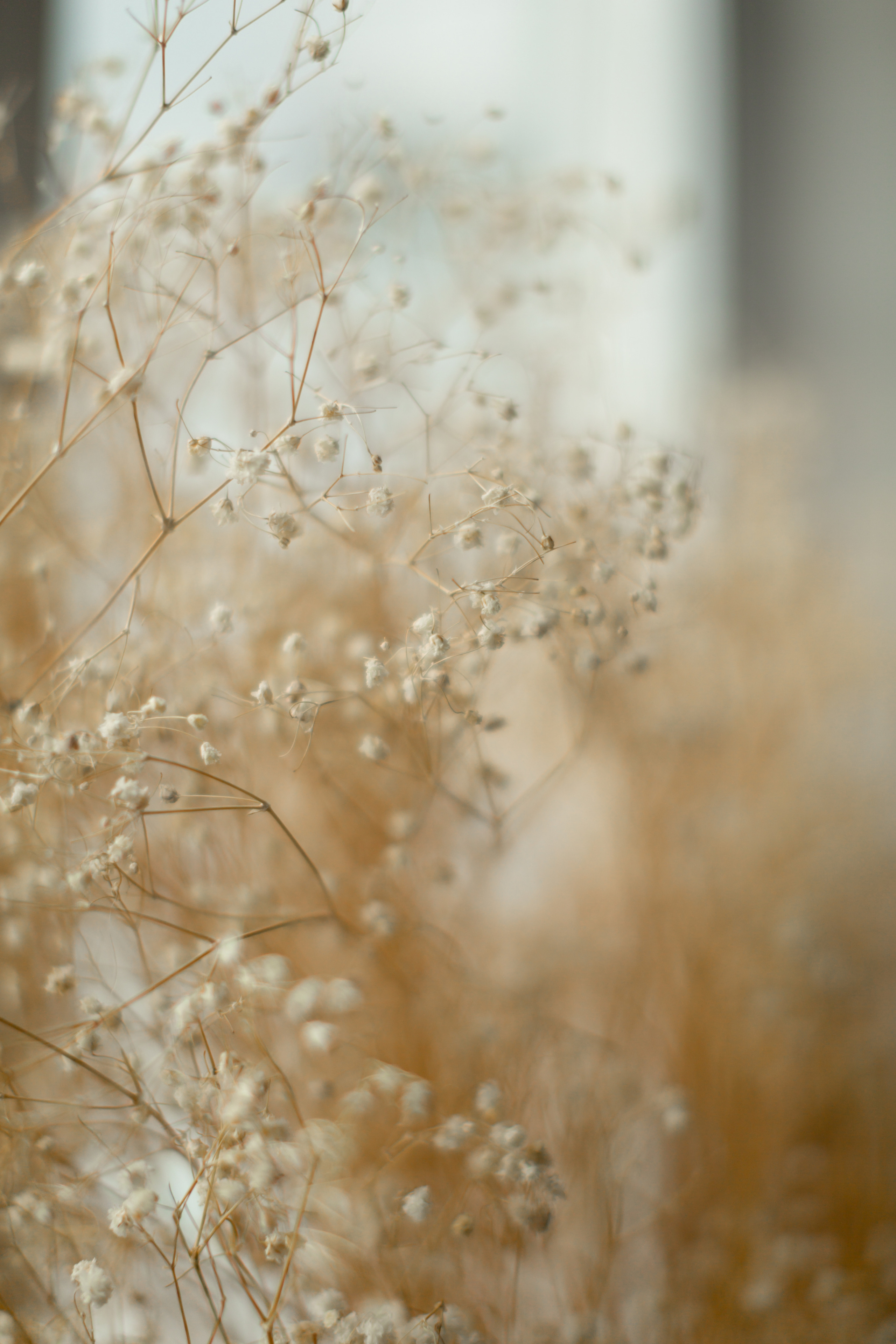 Контент фотограф красноярск. Портретный фотограф в Красноярске Акифьева Евгения