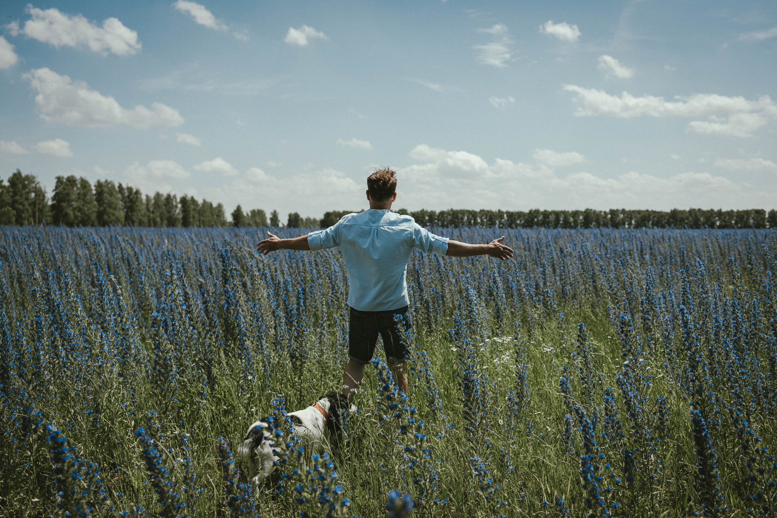 В ожидании чуда Алёна & Сергей, дети и собака. Коммерческий фотограф