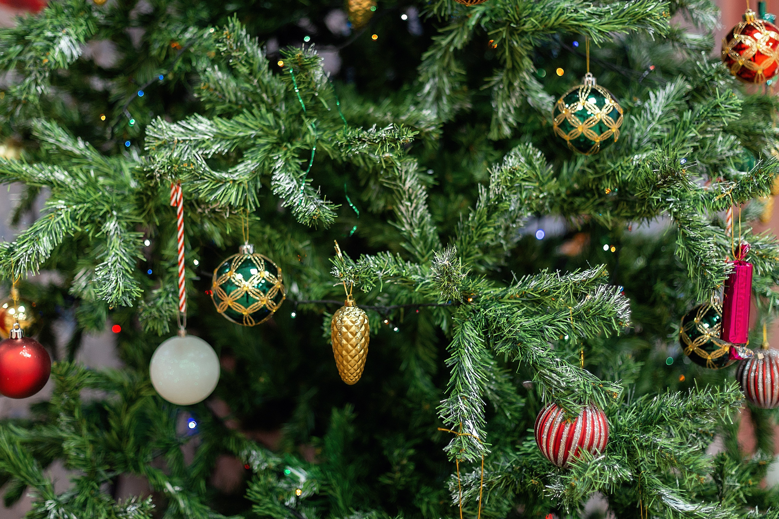 Утренник_"Карамельная фабрика» 2024. Семейный фотограф в Санкт-Петербурге