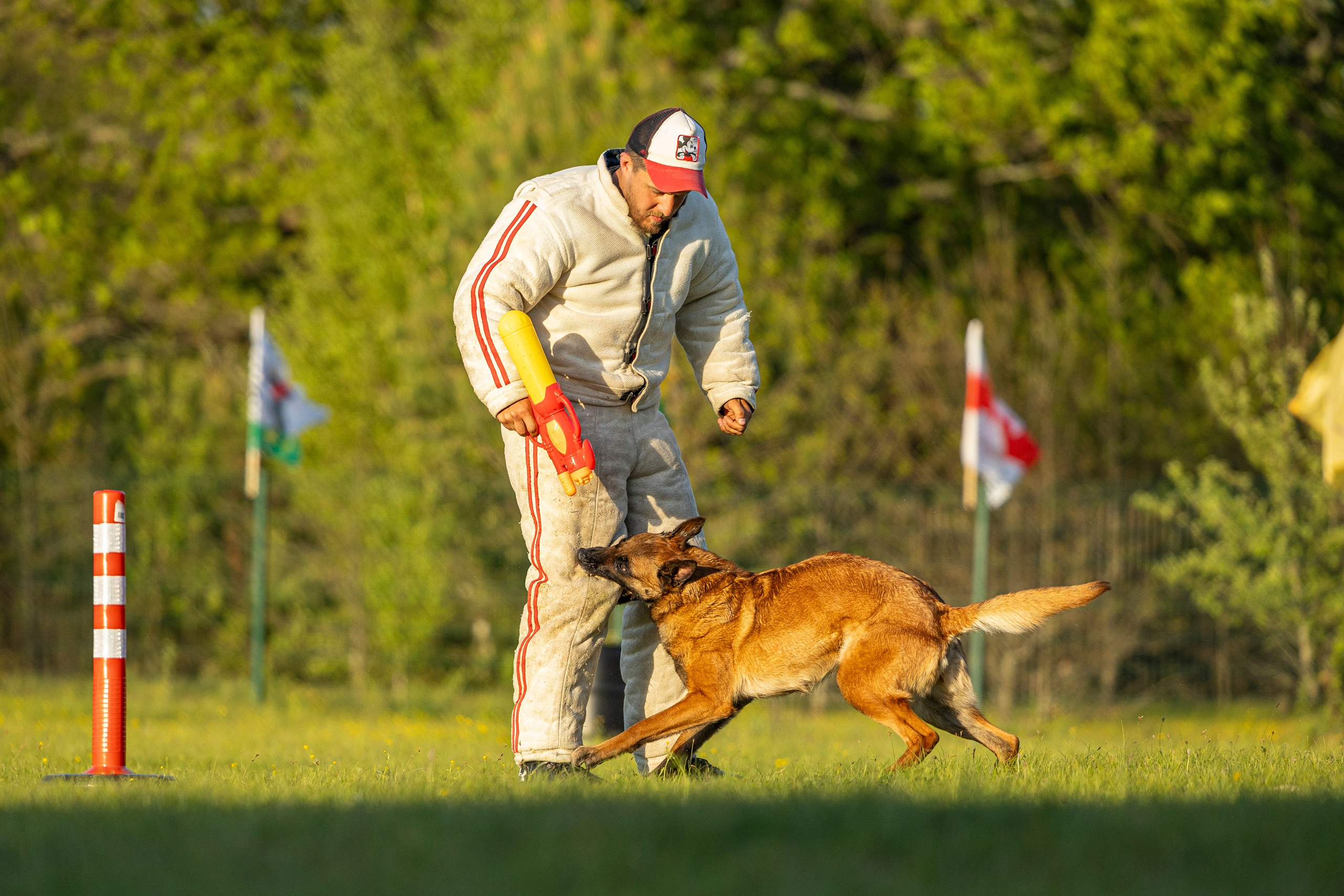 Испытания по мондьорингу в Нижнем Новгороде. Фотограф-анималист Анна Маринич