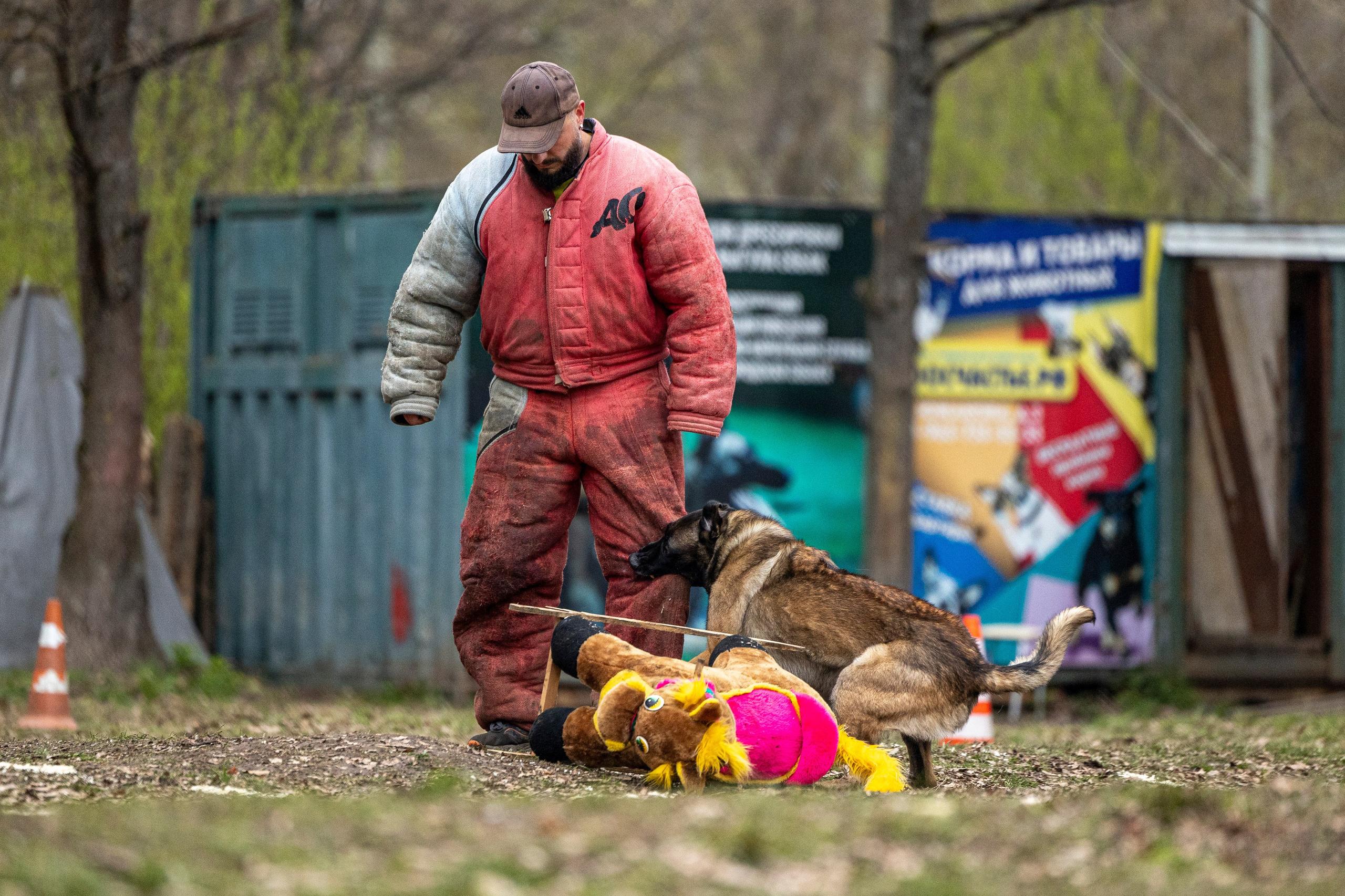 Квалификационные состязания по мондьорингу г. Вологда 11.05.24. Фотограф-анималист Анна Маринич