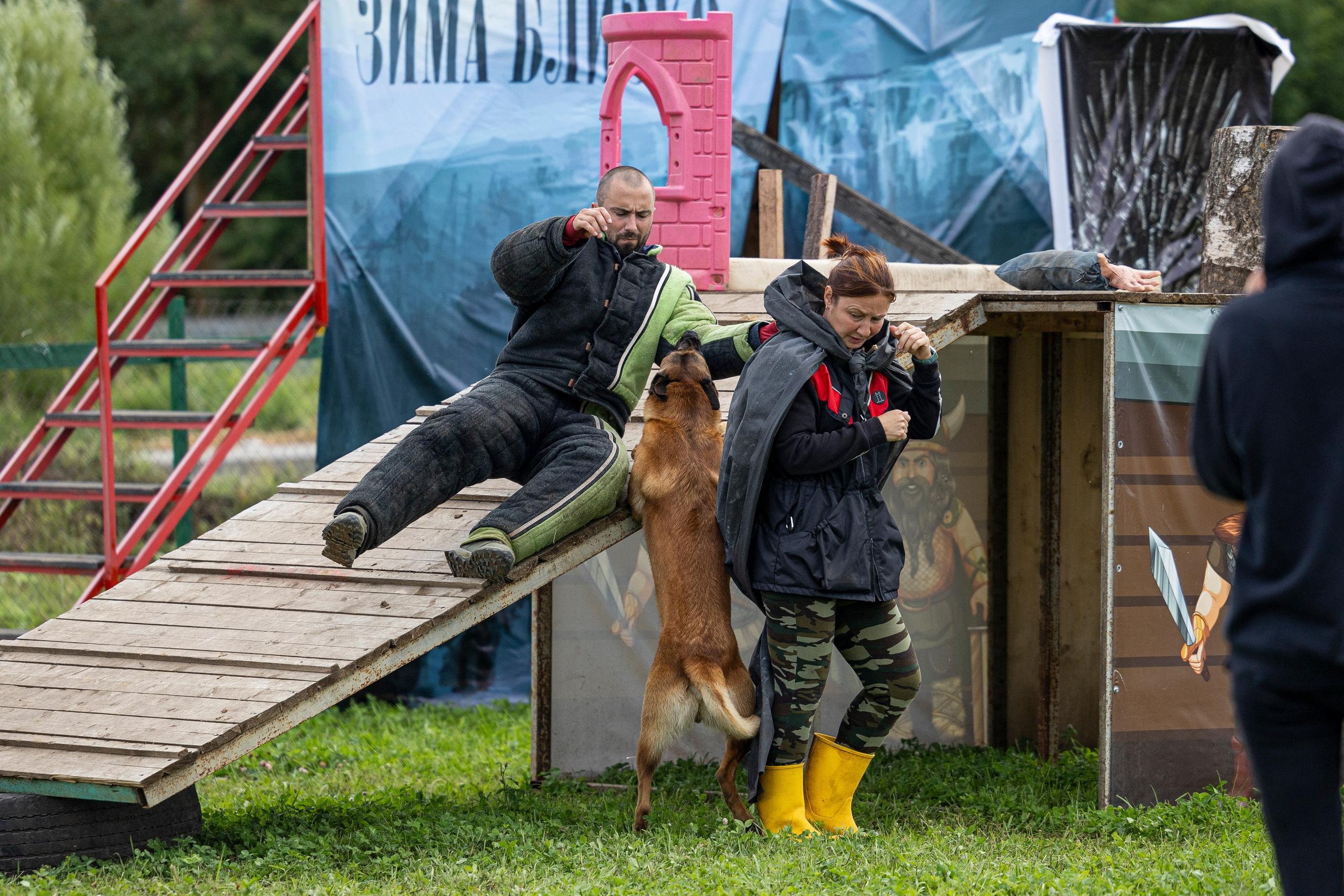 Соревнования по Мондьорингу г. Вологда 10-11.08.2024. Фотограф-анималист Анна Маринич