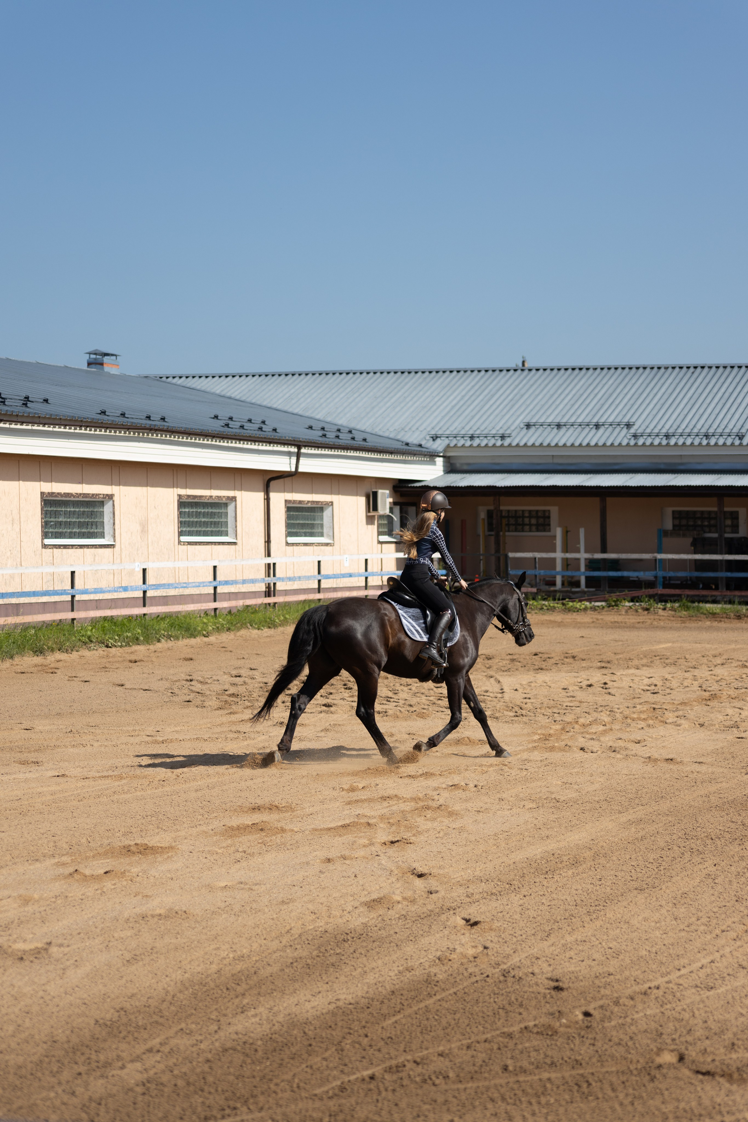 Конюшня. Фотограф в Москве и Истре