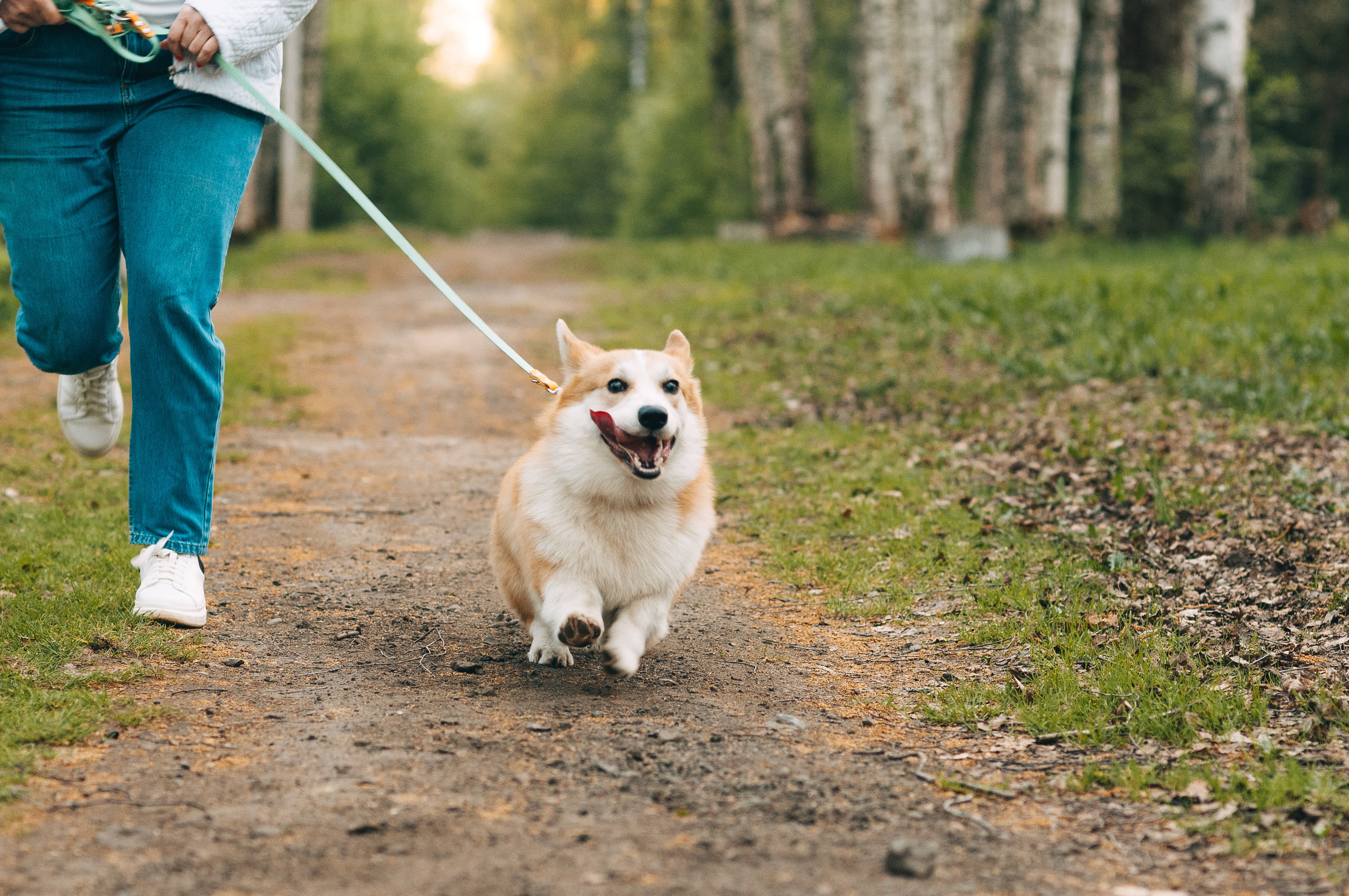 Прогулочная съёмка для Елены и Барни. Свадебный и семейный фотограф г. Ярославль Савинская Анастасия