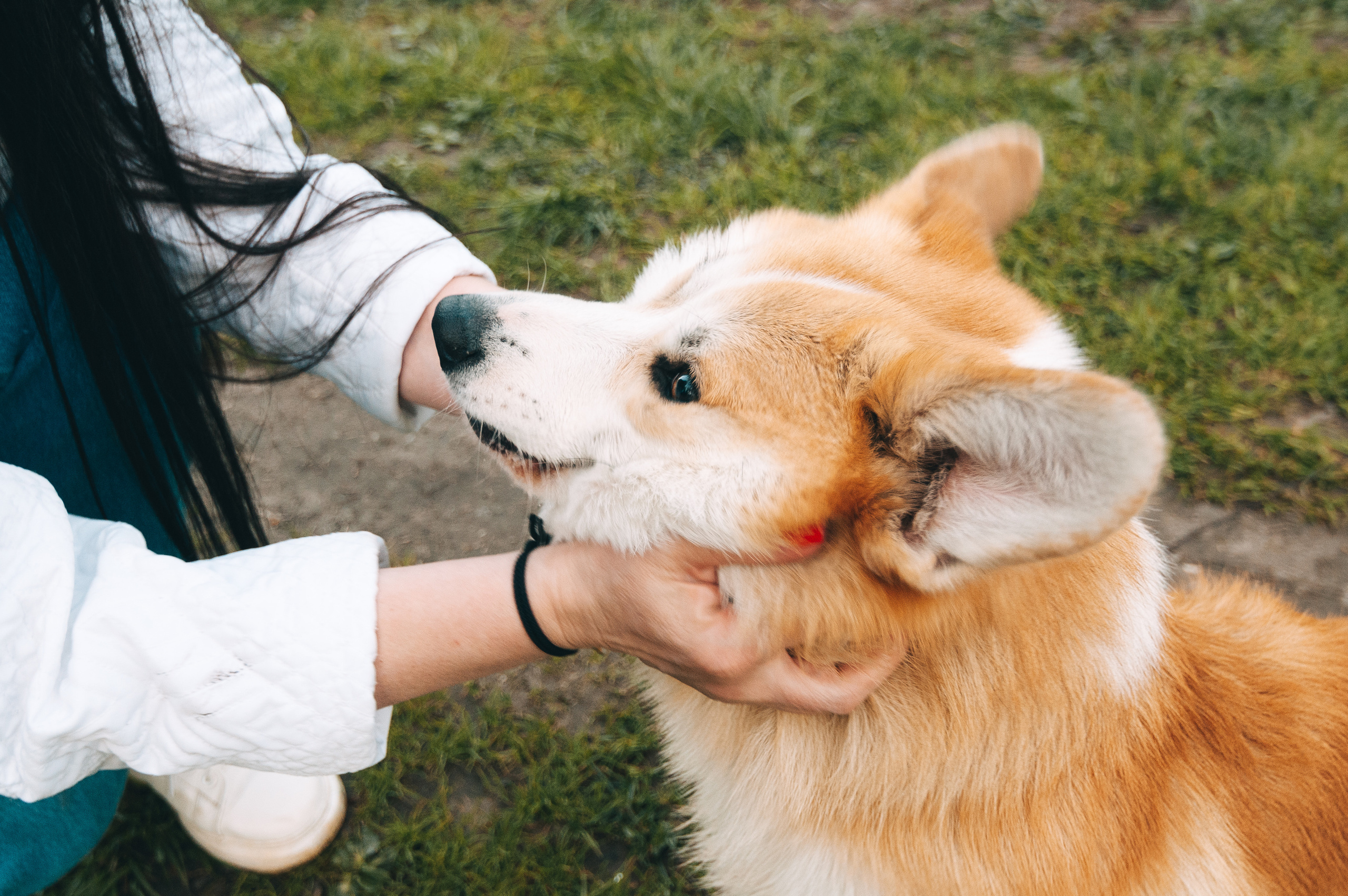 Прогулочная съёмка для Елены и Барни. Свадебный и семейный фотограф г. Ярославль Савинская Анастасия