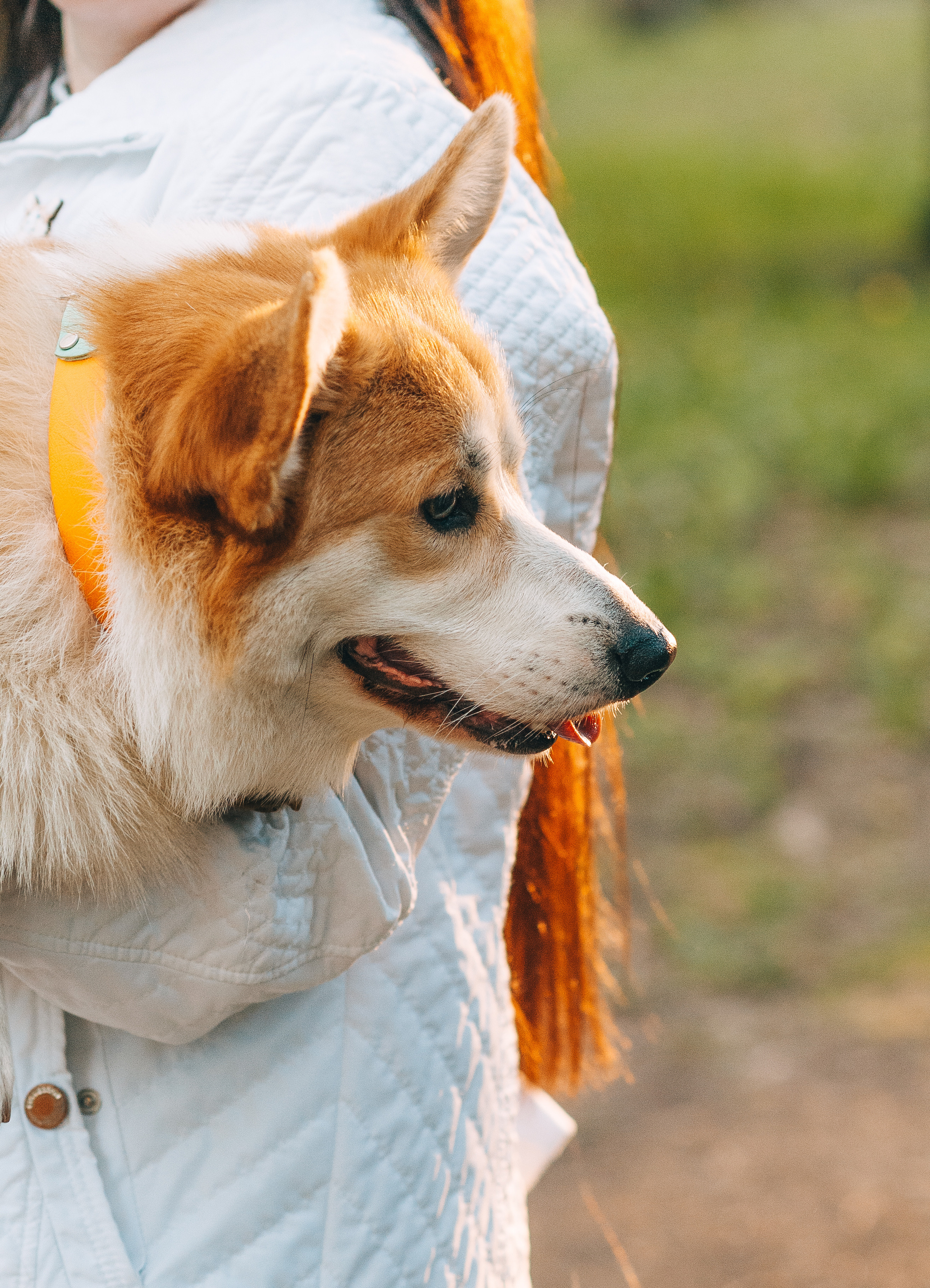 Прогулочная съёмка для Елены и Барни. Свадебный и семейный фотограф г. Ярославль Савинская Анастасия