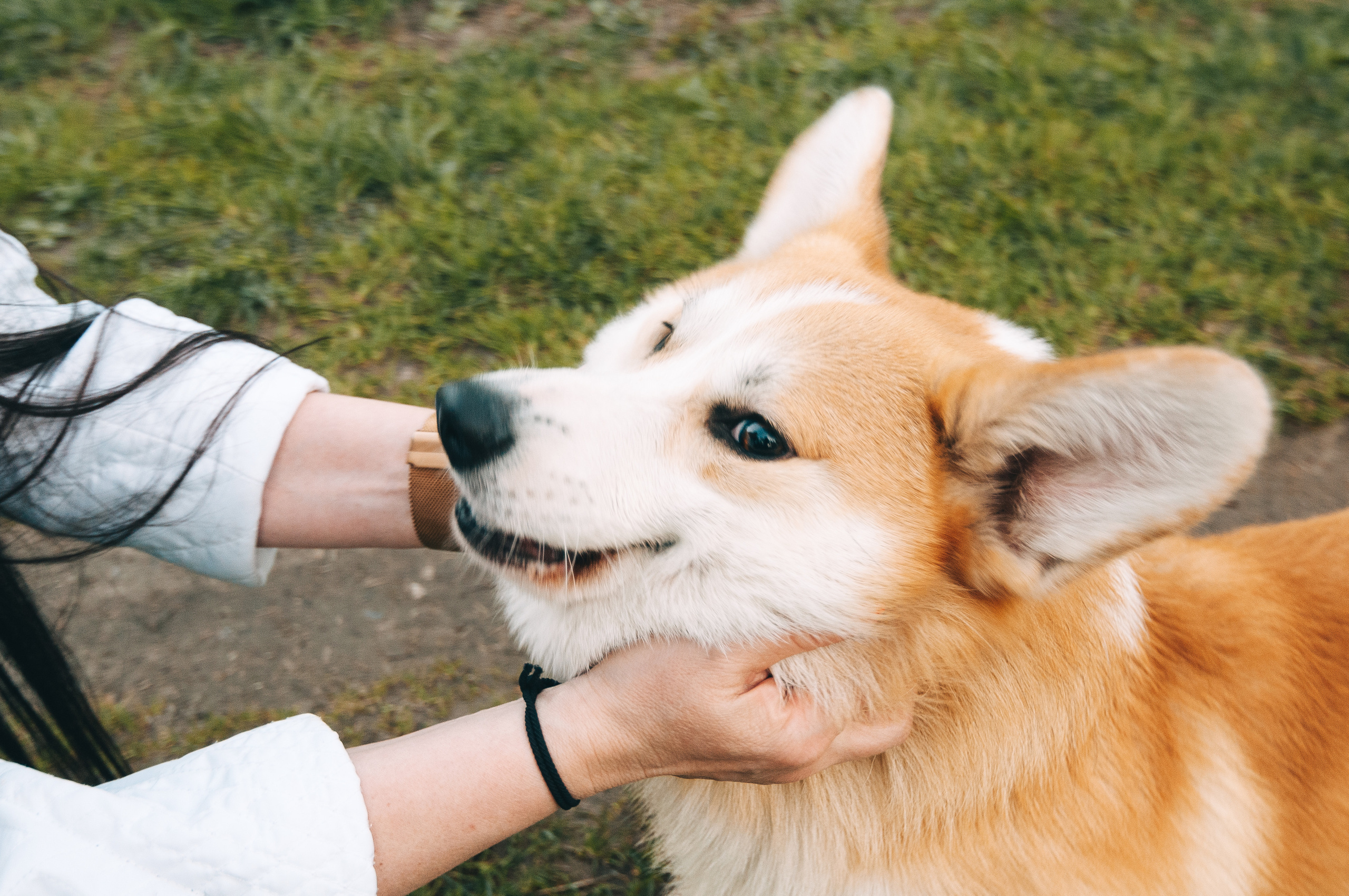 Прогулочная съёмка для Елены и Барни. Свадебный и семейный фотограф г. Ярославль Савинская Анастасия