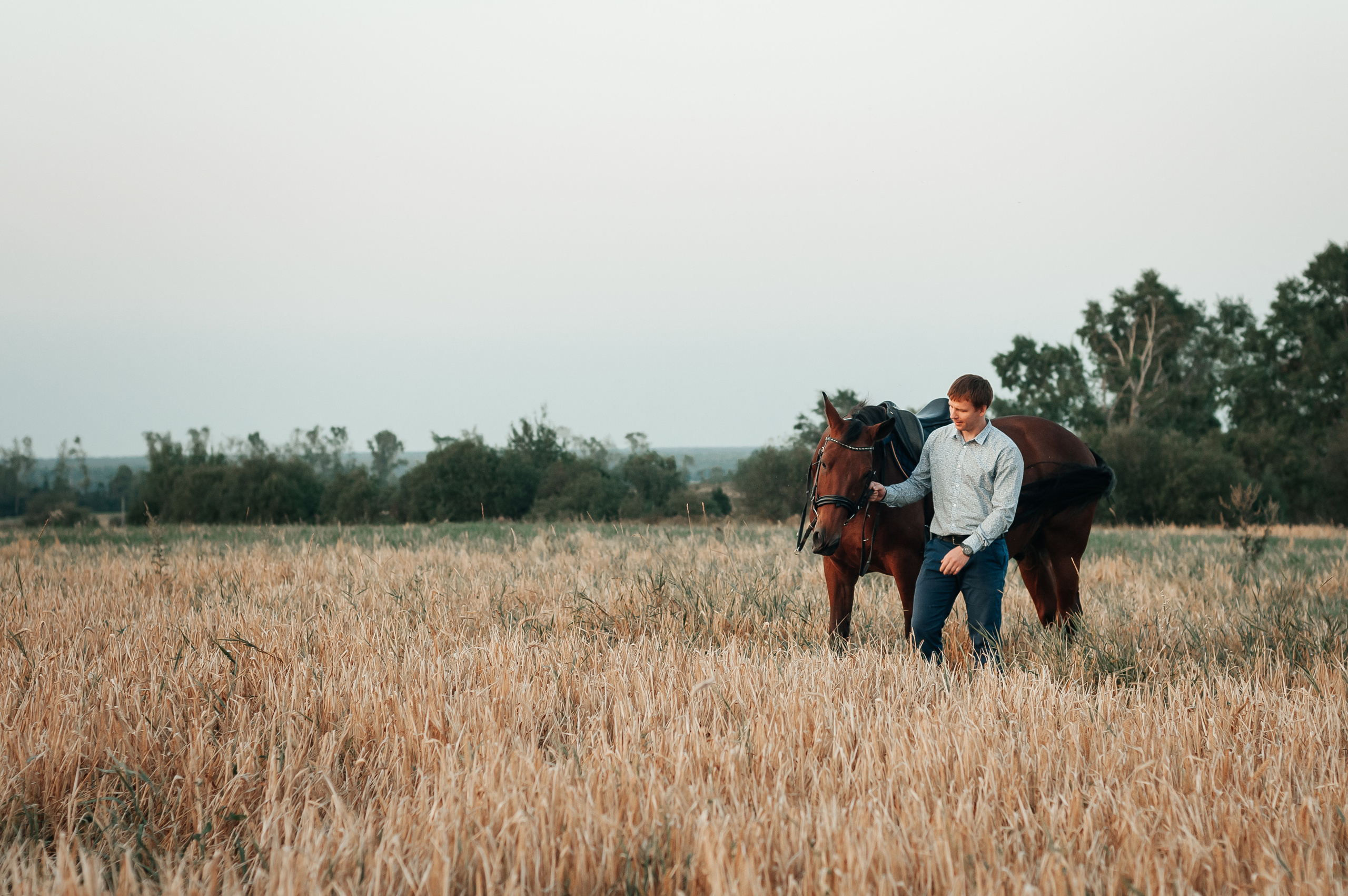 Съёмка с лошадью для Юлии, Андрея и Артёма. Свадебный и семейный фотограф г. Ярославль Савинская Анастасия
