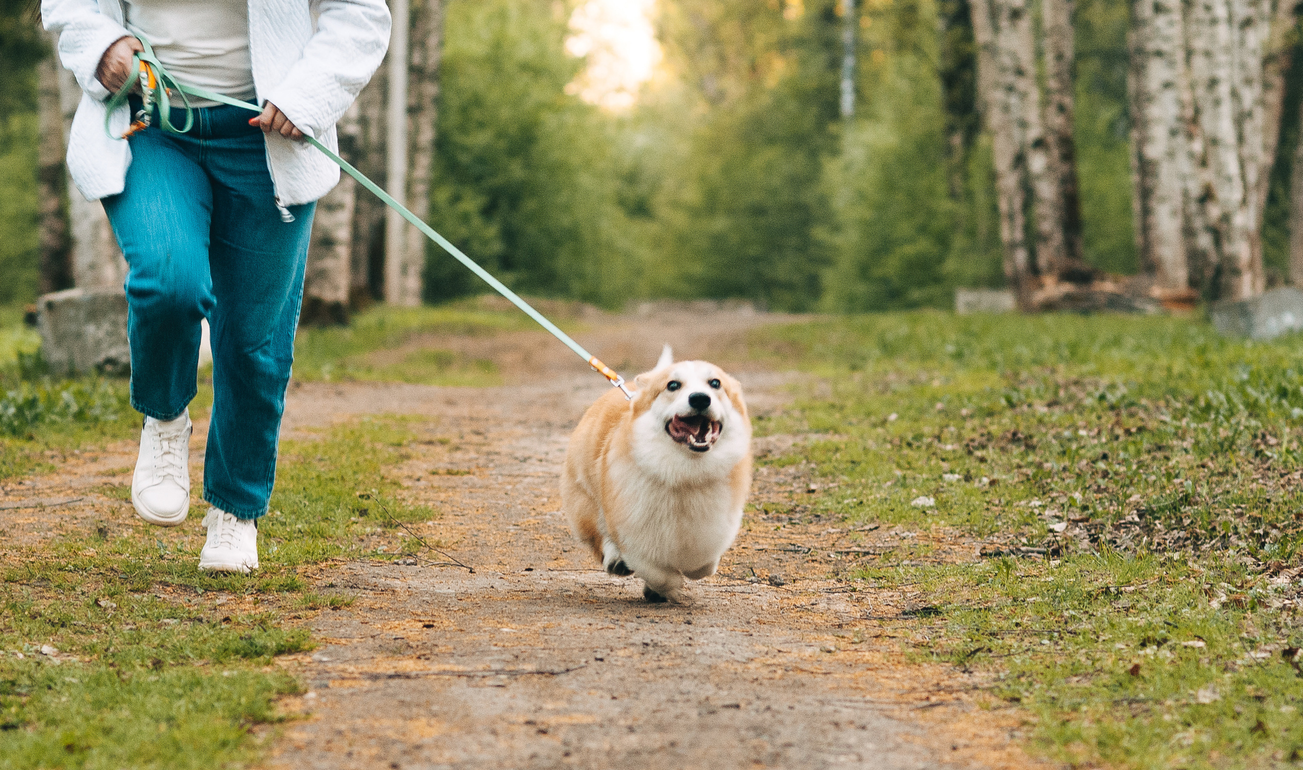 Прогулочная съёмка для Елены и Барни. Свадебный и семейный фотограф г. Ярославль Савинская Анастасия