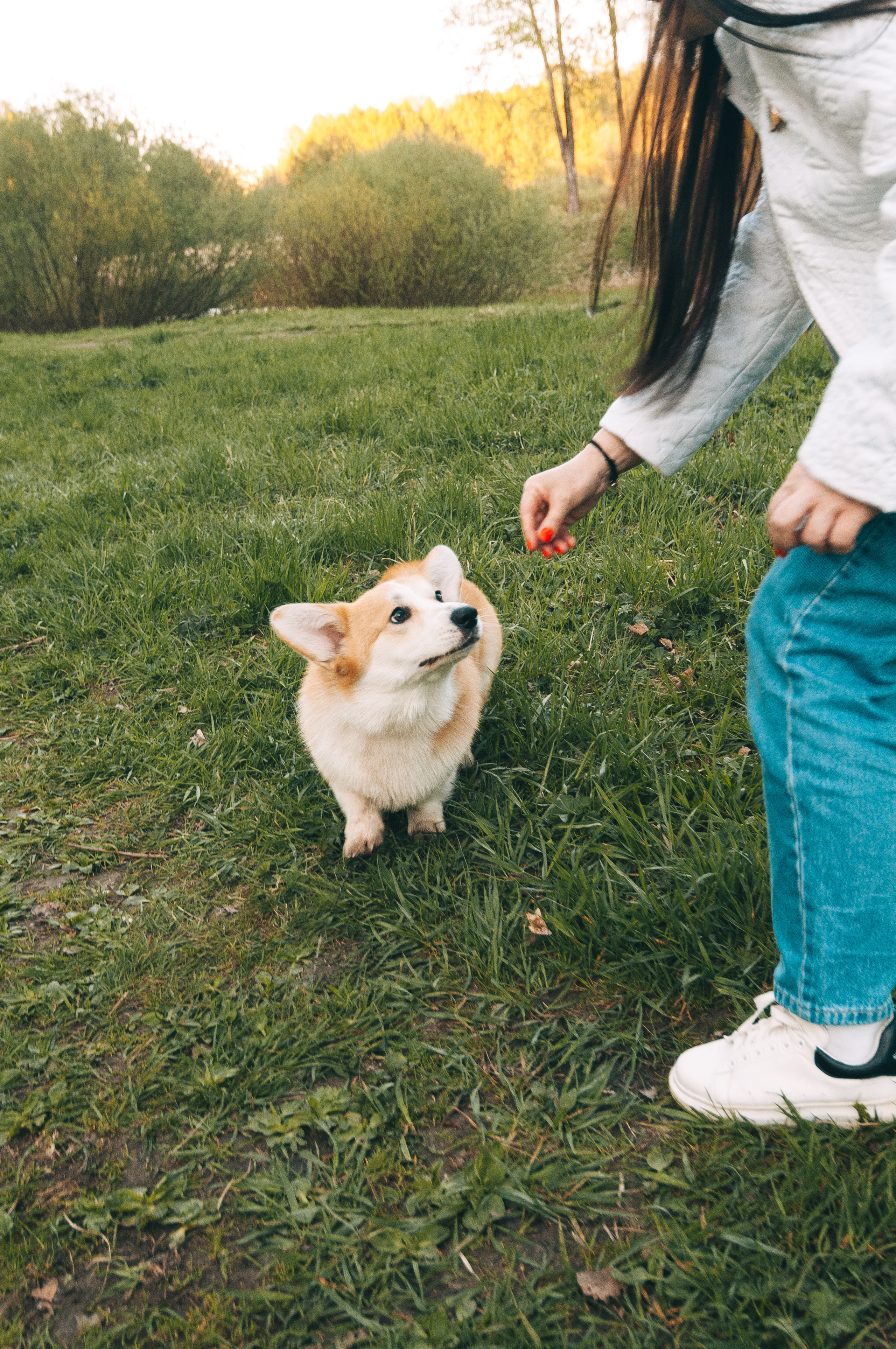 Прогулочная съёмка для Елены и Барни. Свадебный и семейный фотограф г. Ярославль Савинская Анастасия