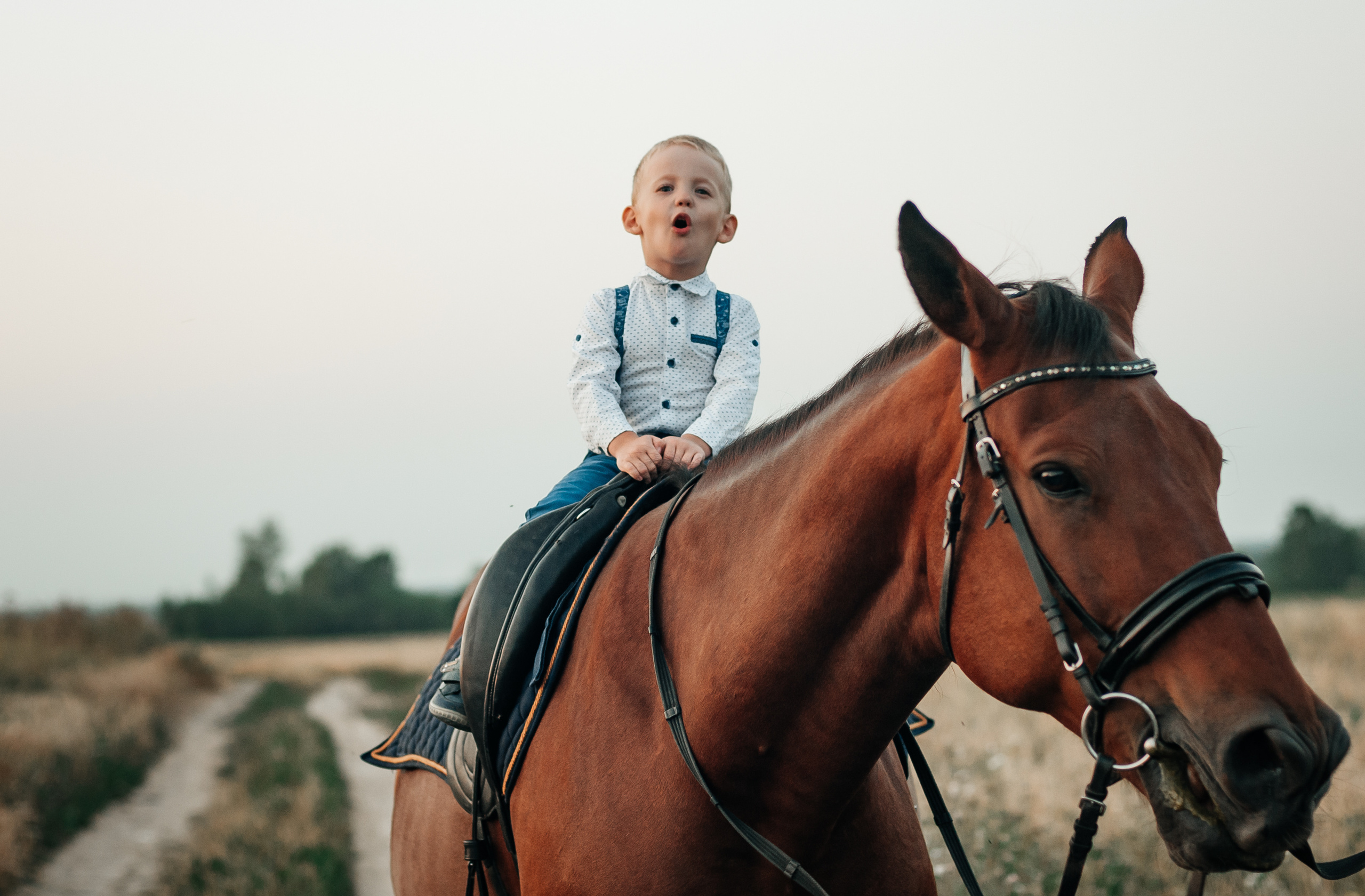 Съёмка с лошадью для Юлии, Андрея и Артёма. Свадебный и семейный фотограф г. Ярославль Савинская Анастасия