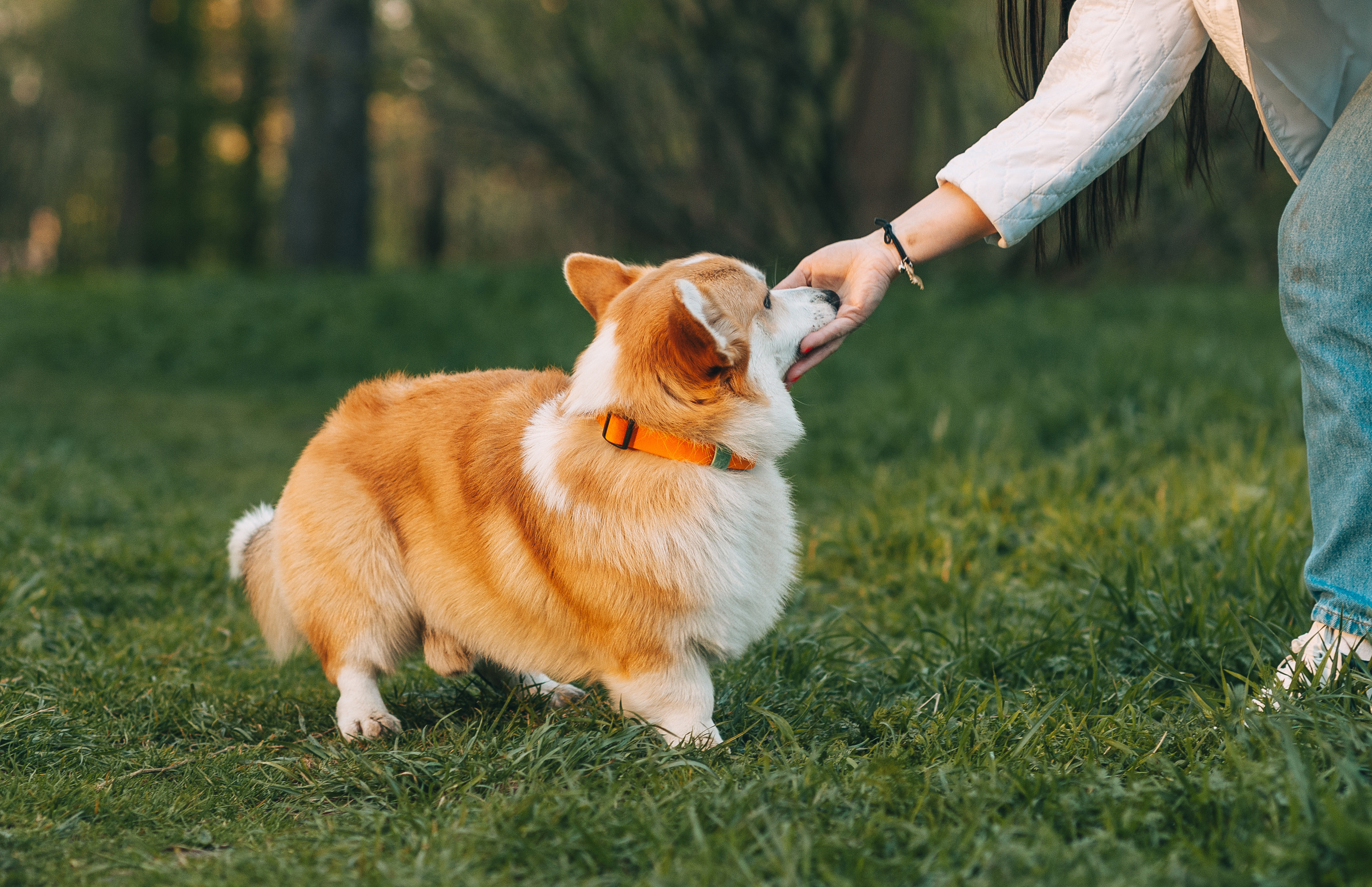 Прогулочная съёмка для Елены и Барни. Свадебный и семейный фотограф г. Ярославль Савинская Анастасия