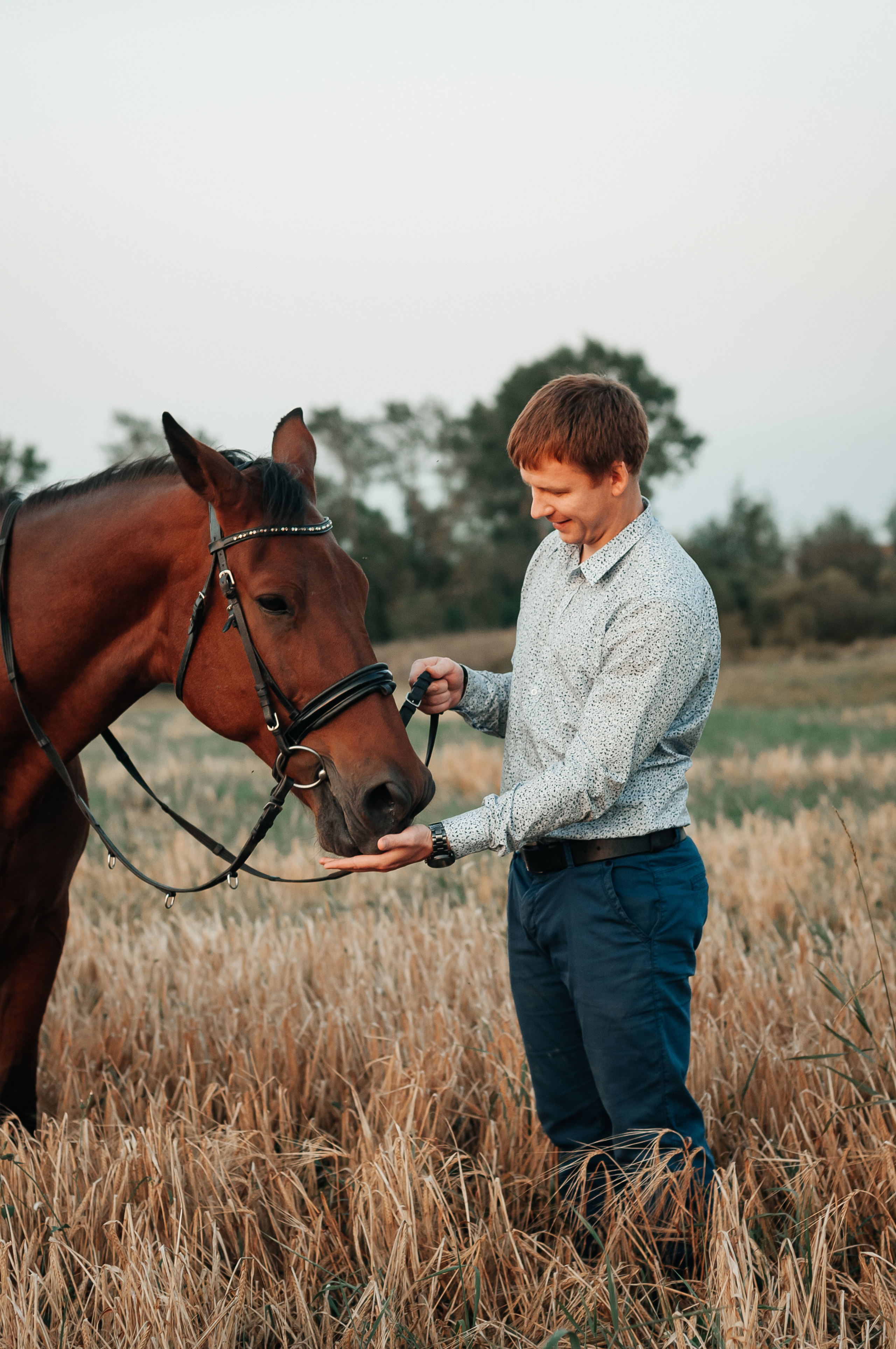 Съёмка с лошадью для Юлии, Андрея и Артёма. Свадебный и семейный фотограф г. Ярославль Савинская Анастасия