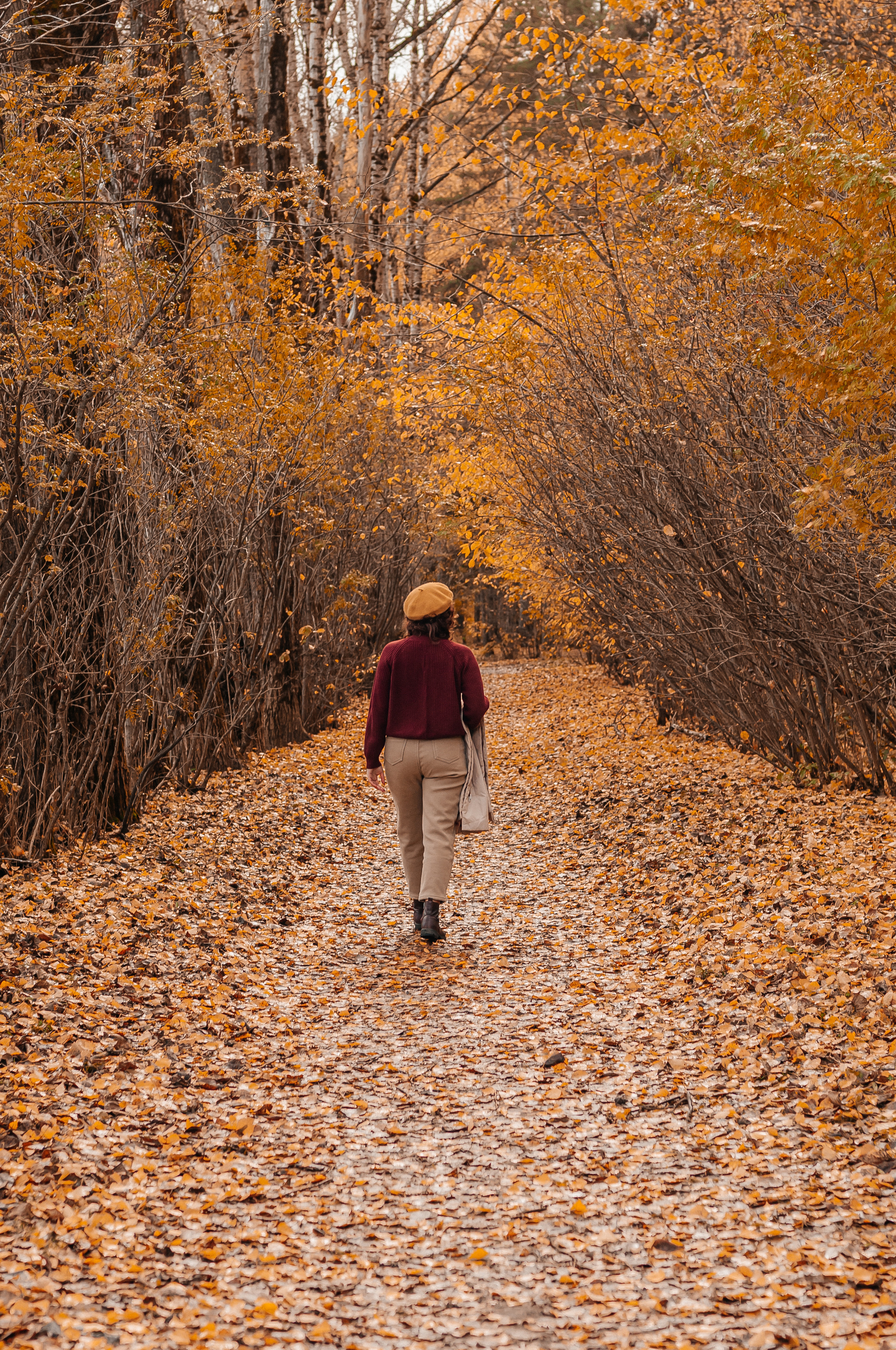 Прогулочная съёмка в золотой осени для Натальи. Свадебный и семейный фотограф г. Ярославль Савинская Анастасия