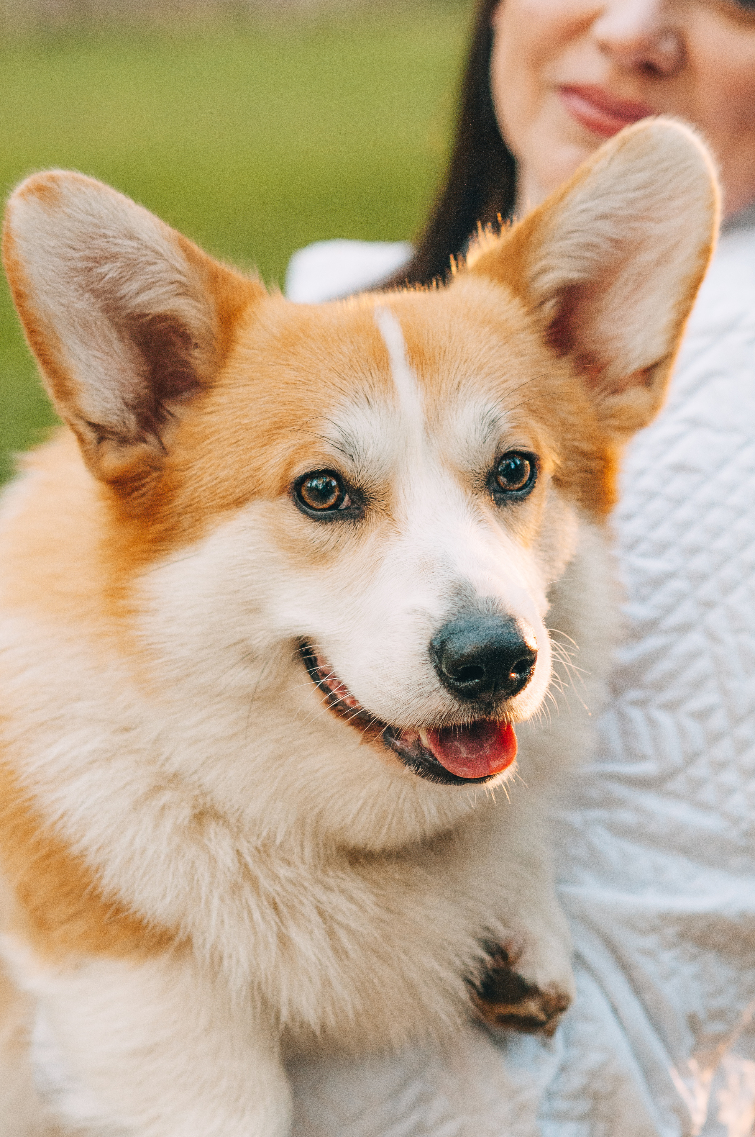 Прогулочная съёмка для Елены и Барни. Свадебный и семейный фотограф г. Ярославль Савинская Анастасия