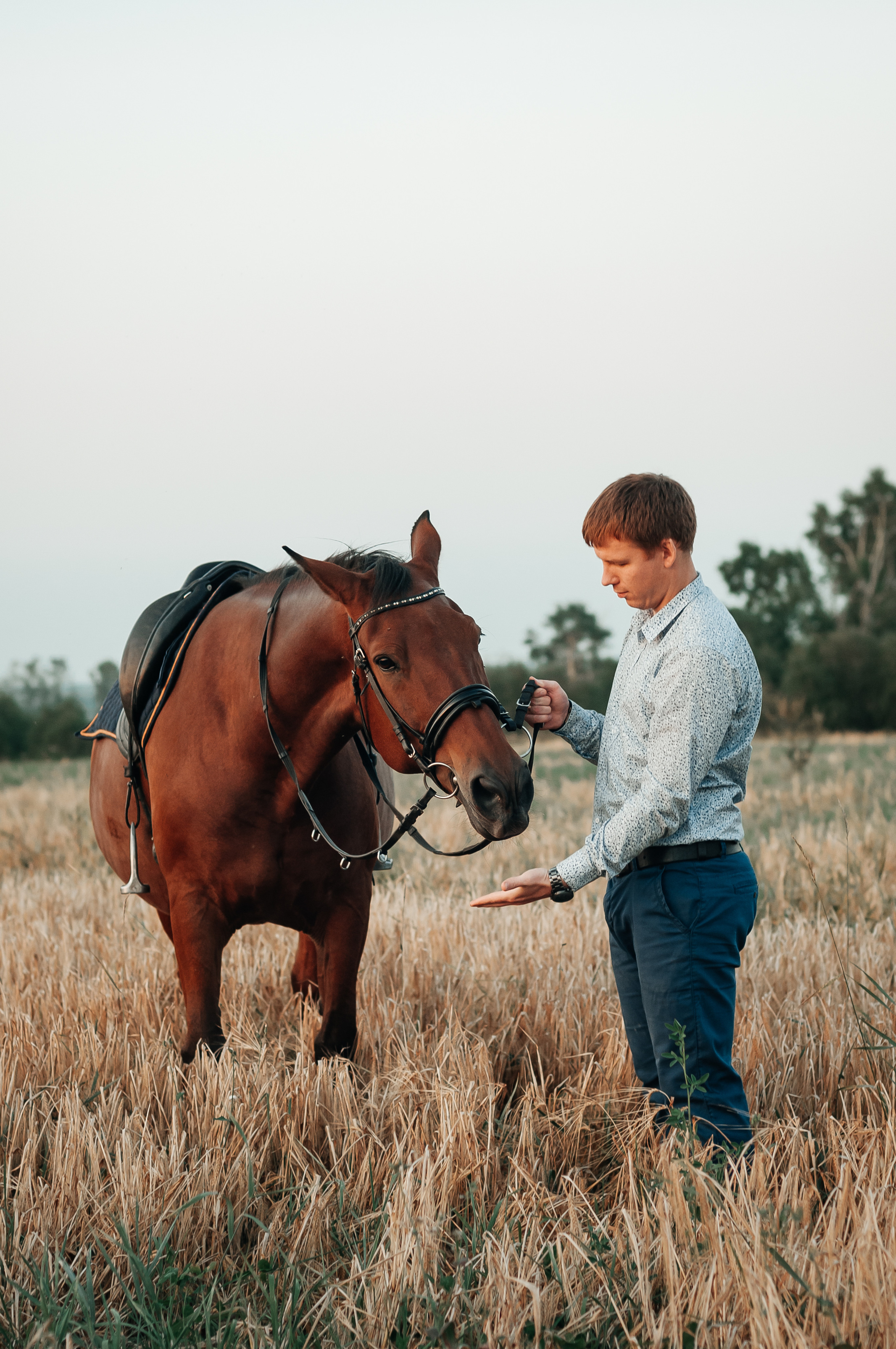 Съёмка с лошадью для Юлии, Андрея и Артёма. Свадебный и семейный фотограф г. Ярославль Савинская Анастасия