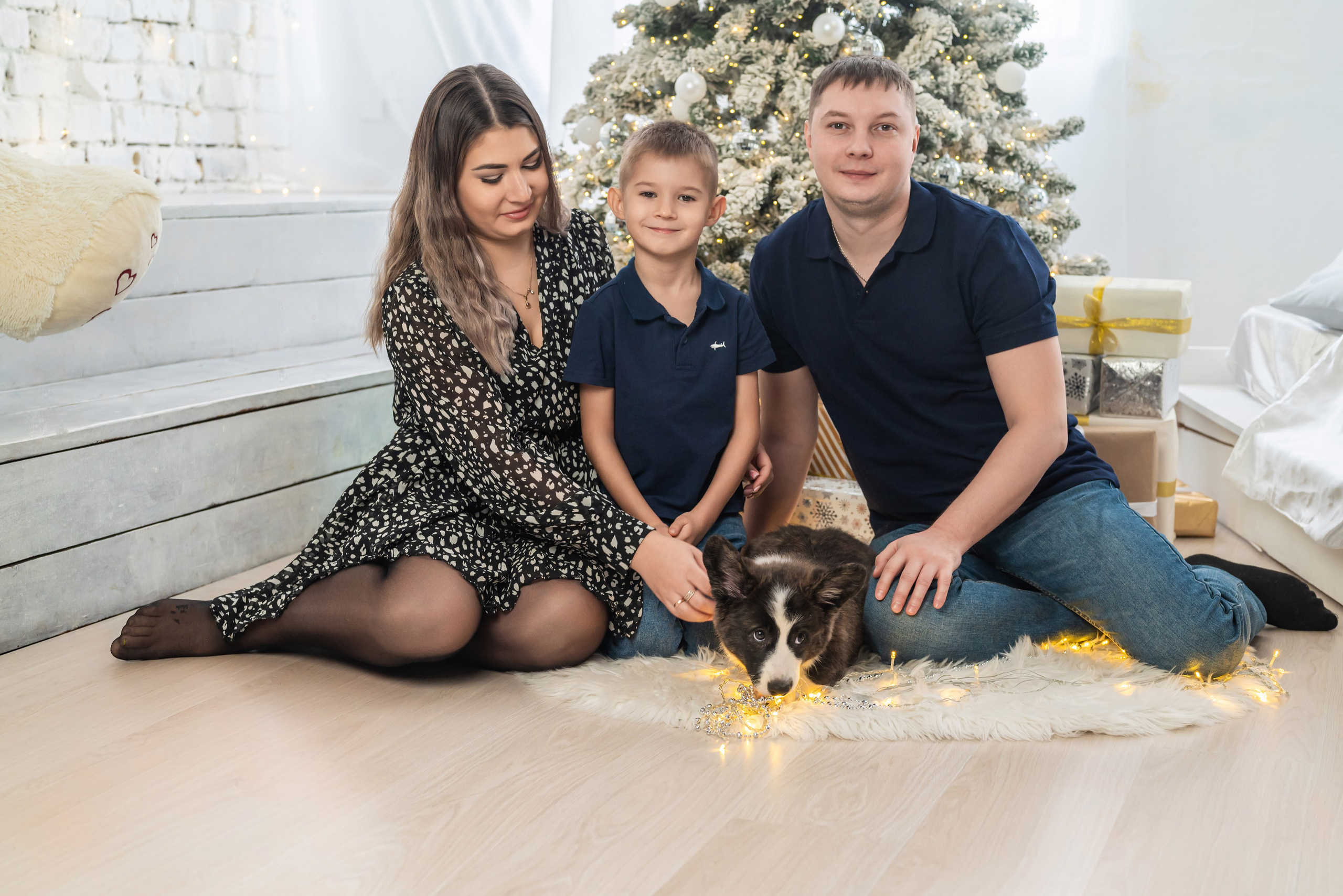 Фотопроект с корги. Фотограф в городе Салават