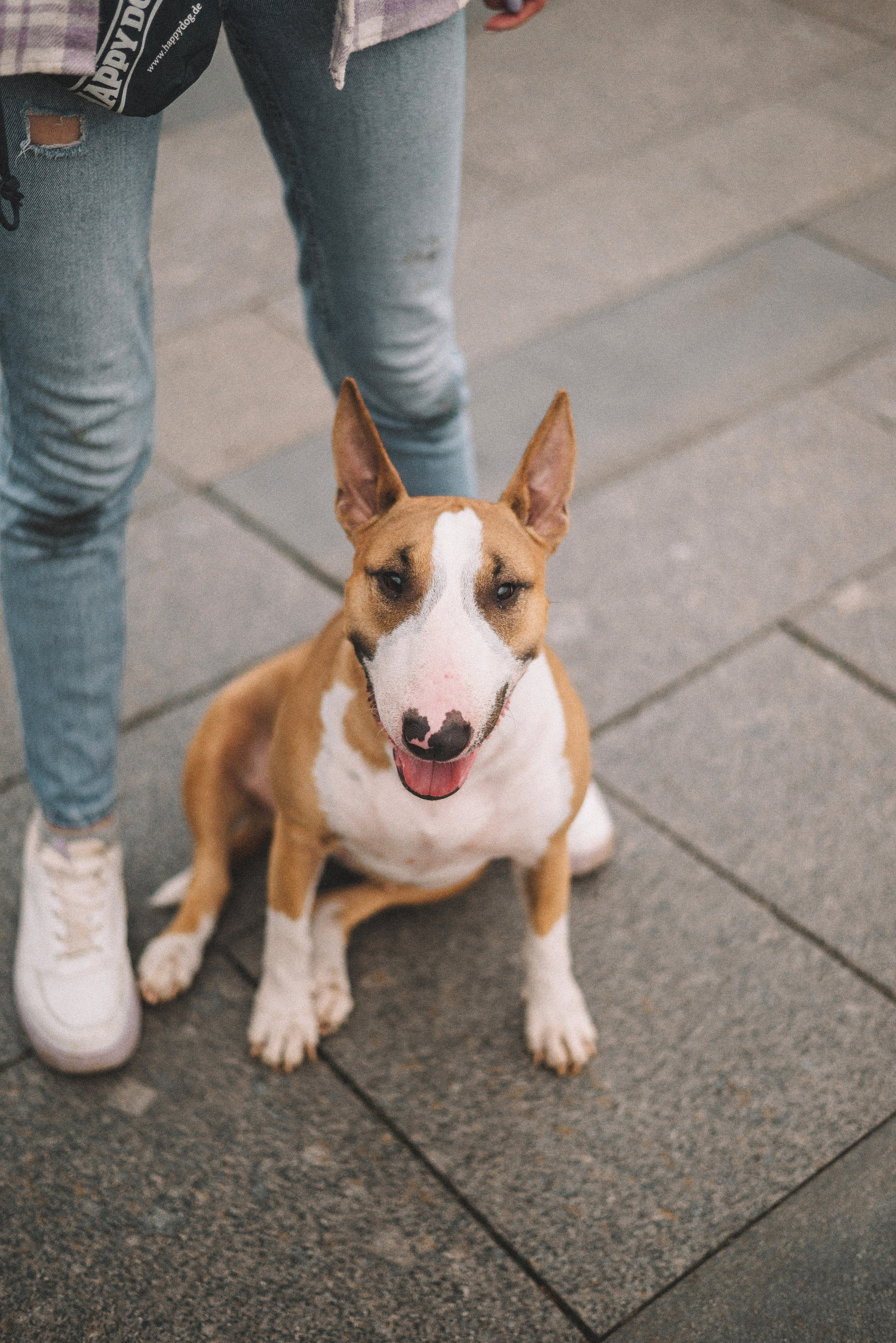 Маша и Рулька. Фотограф-анималист Богданова Полина