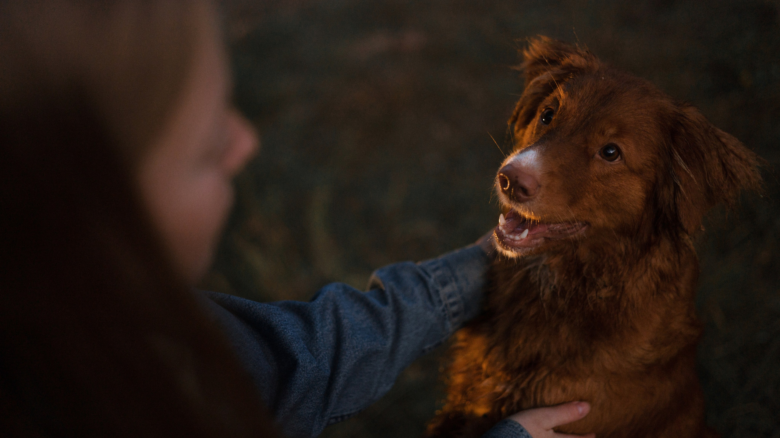 Ксюша и Мэди. Фотограф-анималист Богданова Полина