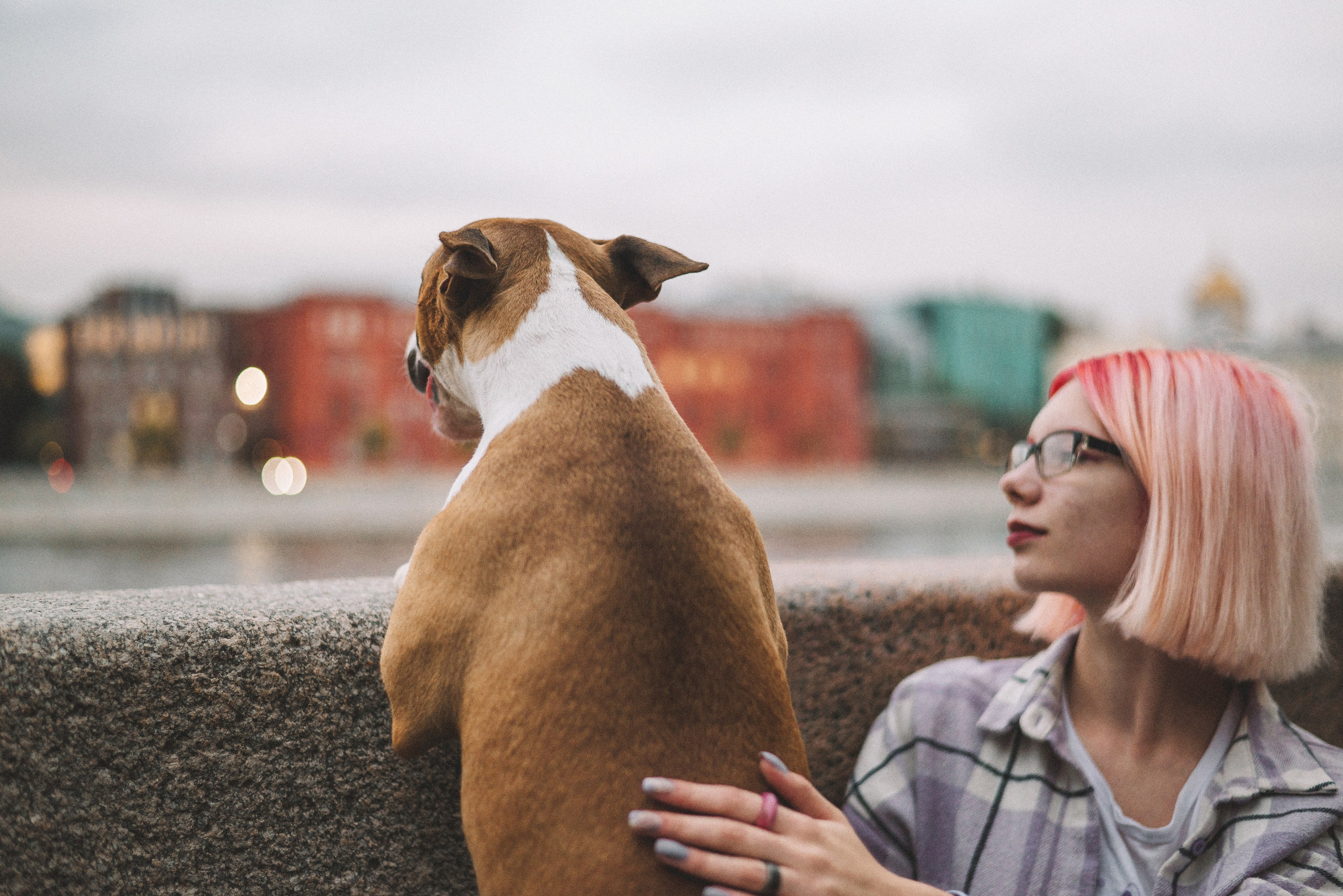 Маша и Рулька. Фотограф-анималист Богданова Полина