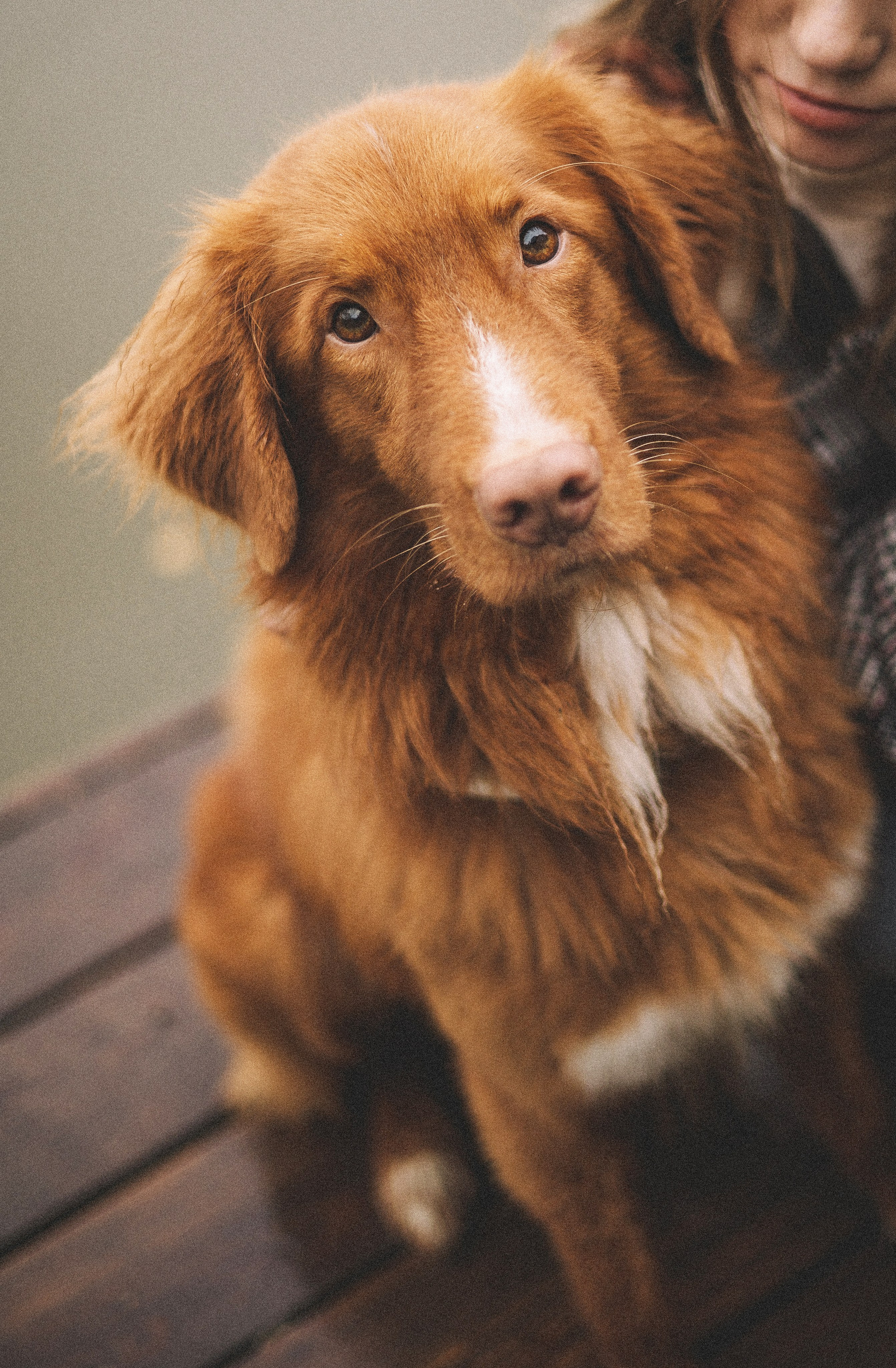 Алина и Бис. Фотограф-анималист Богданова Полина