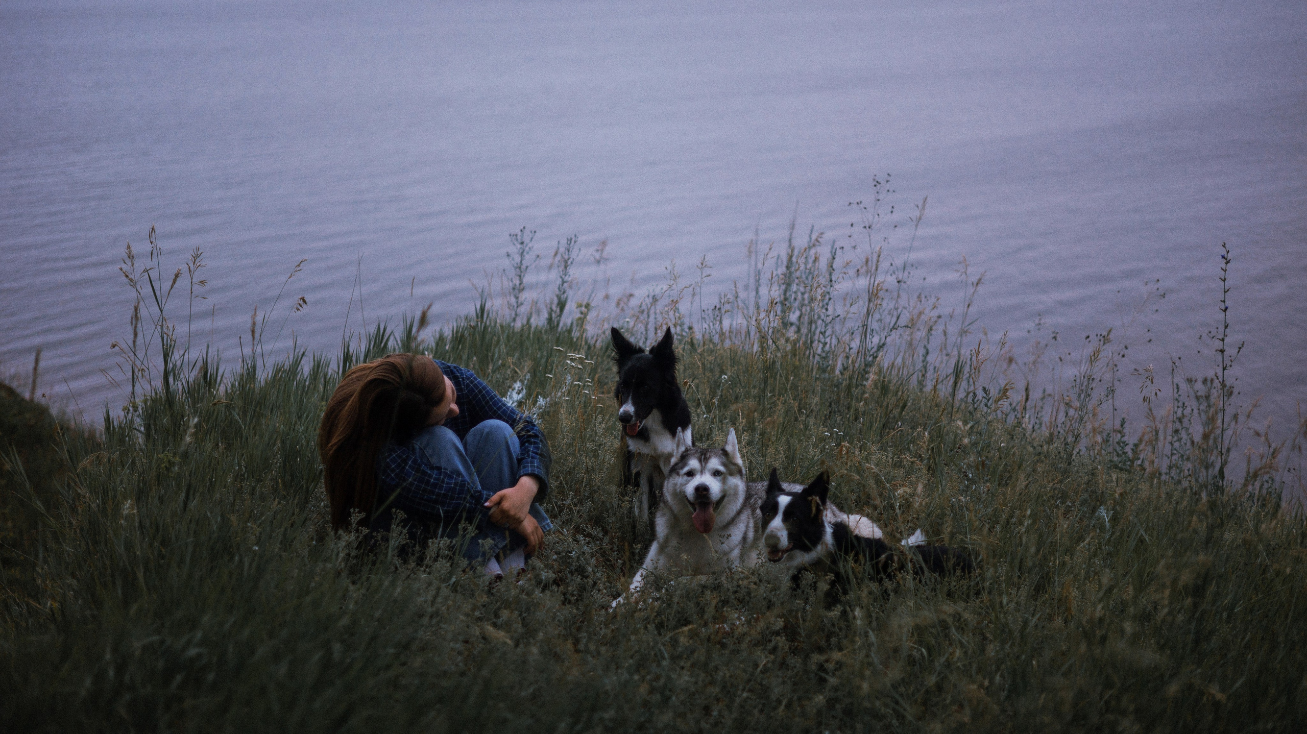 Аделя, Вандер, Шайна и Бая. Фотограф-анималист Богданова Полина