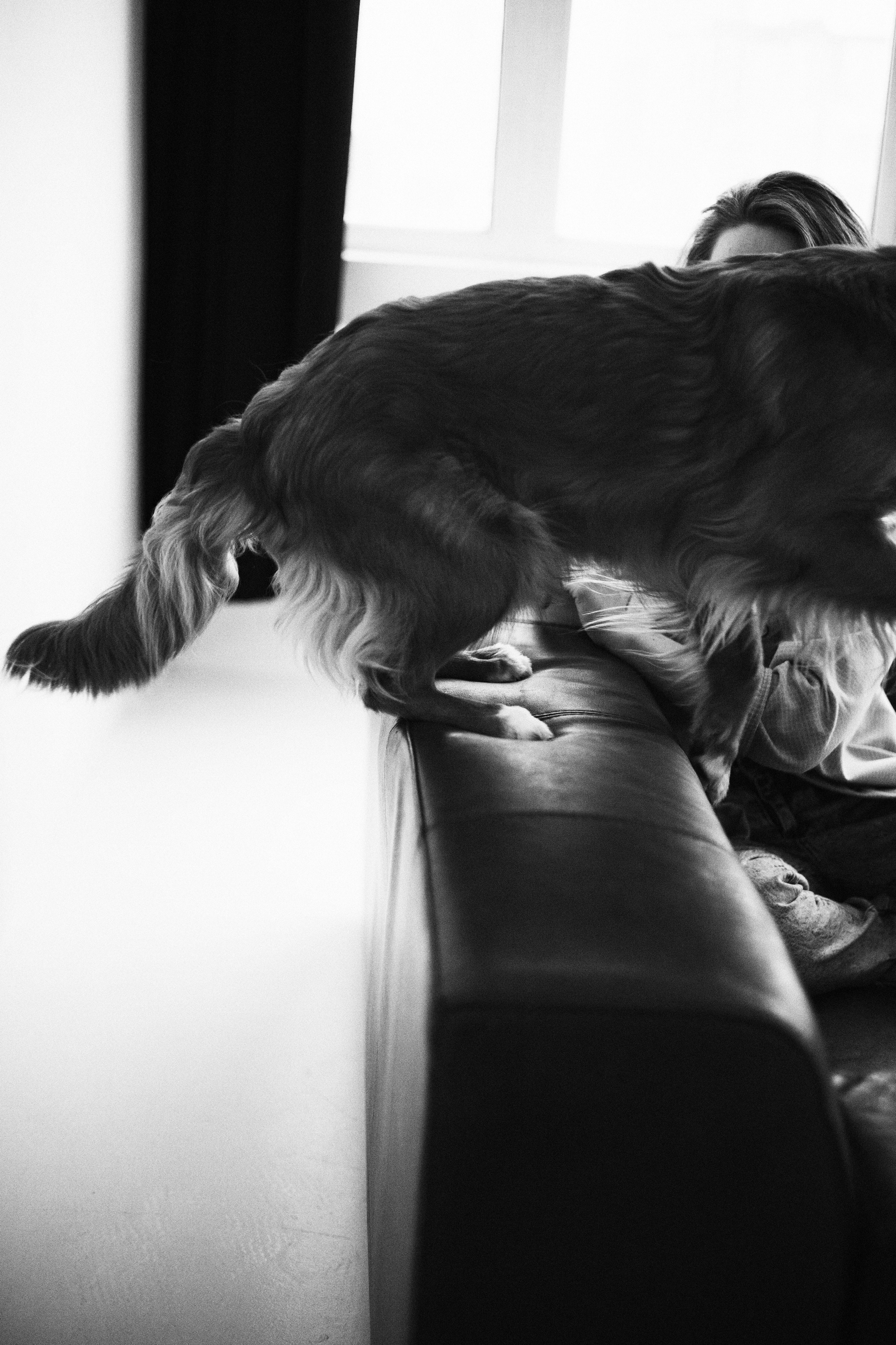 Аня и Лея. Фотограф-анималист Богданова Полина