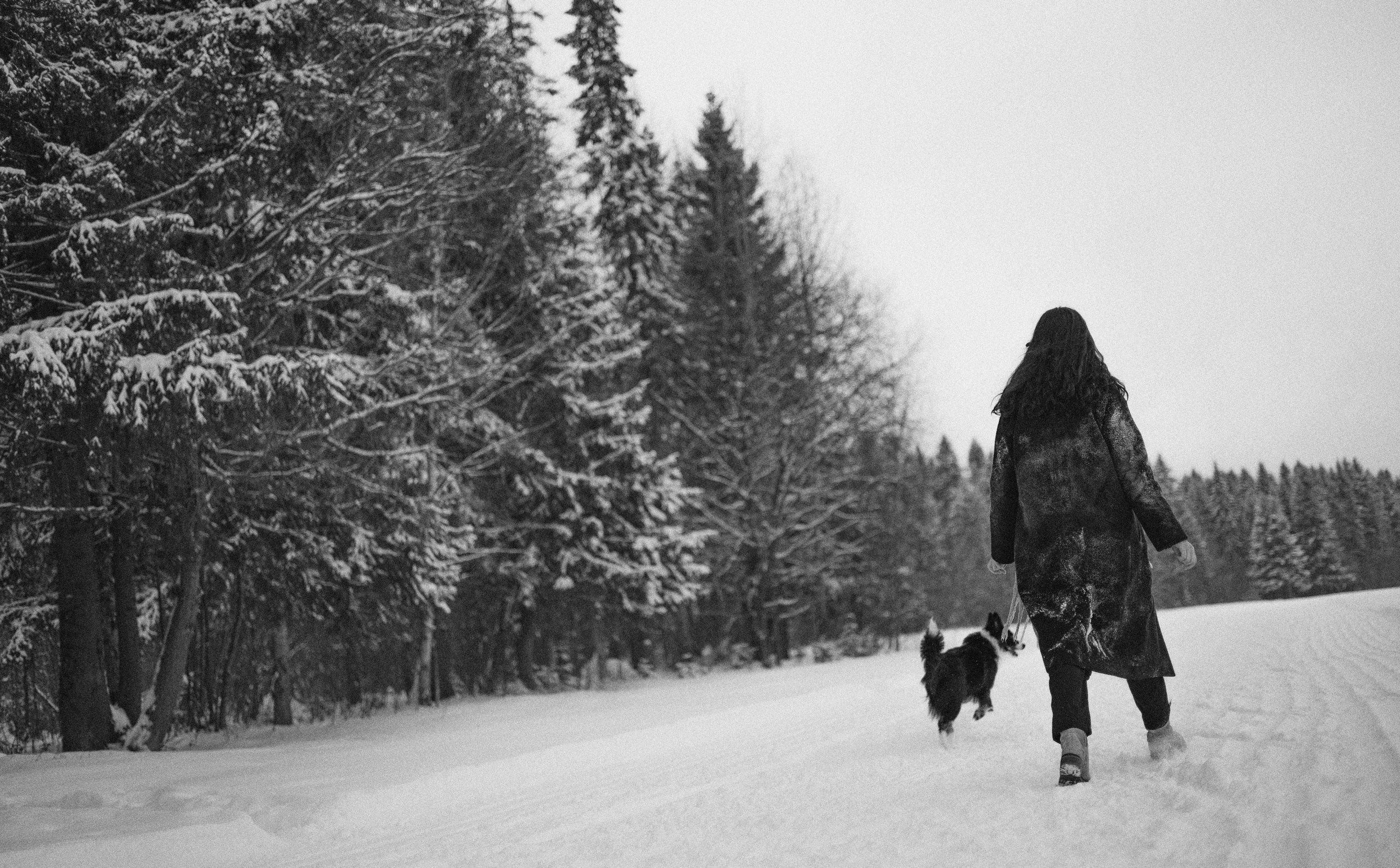 Алина и Найт. Фотограф-анималист Богданова Полина