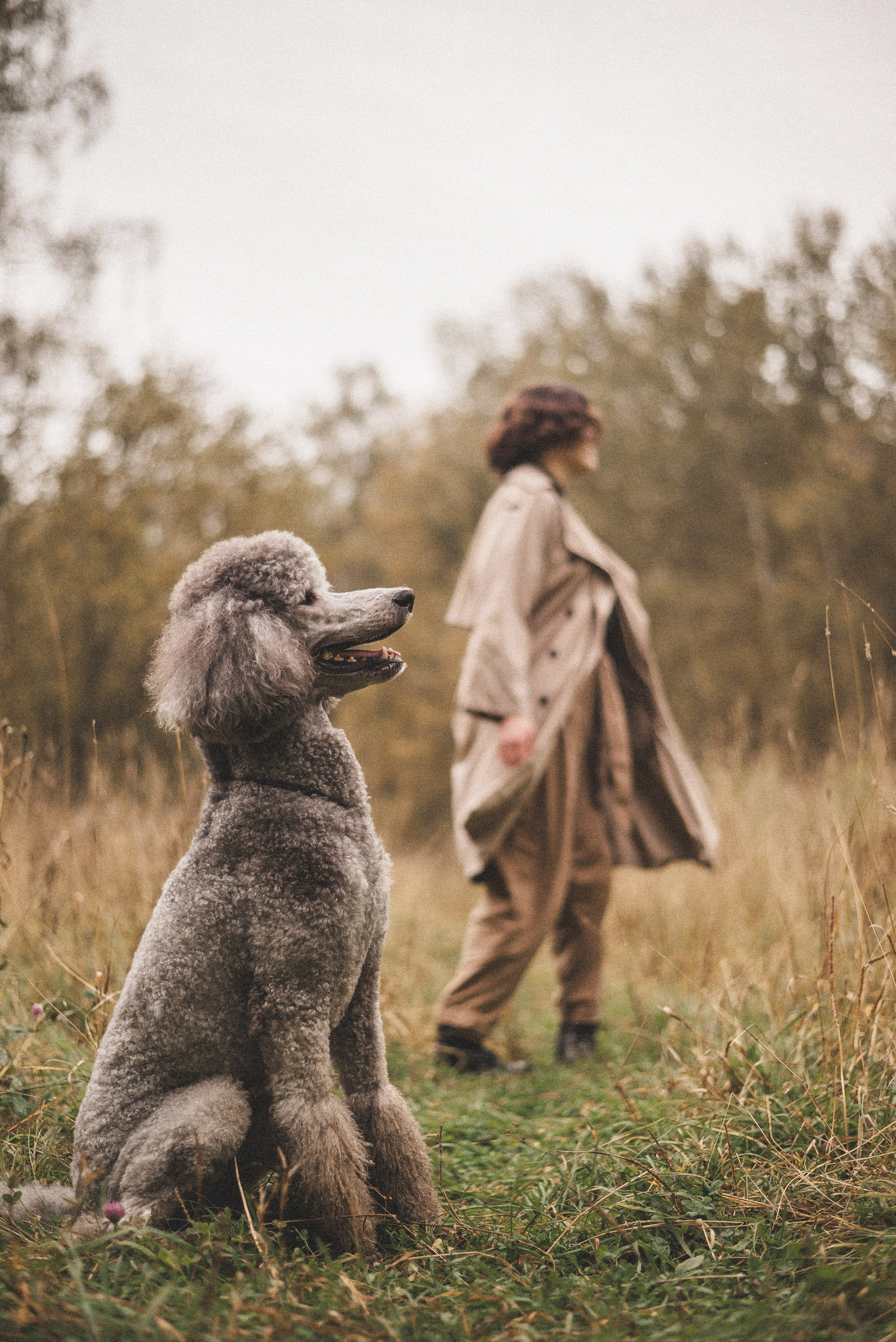 Алёна и Смоки. Фотограф-анималист Богданова Полина