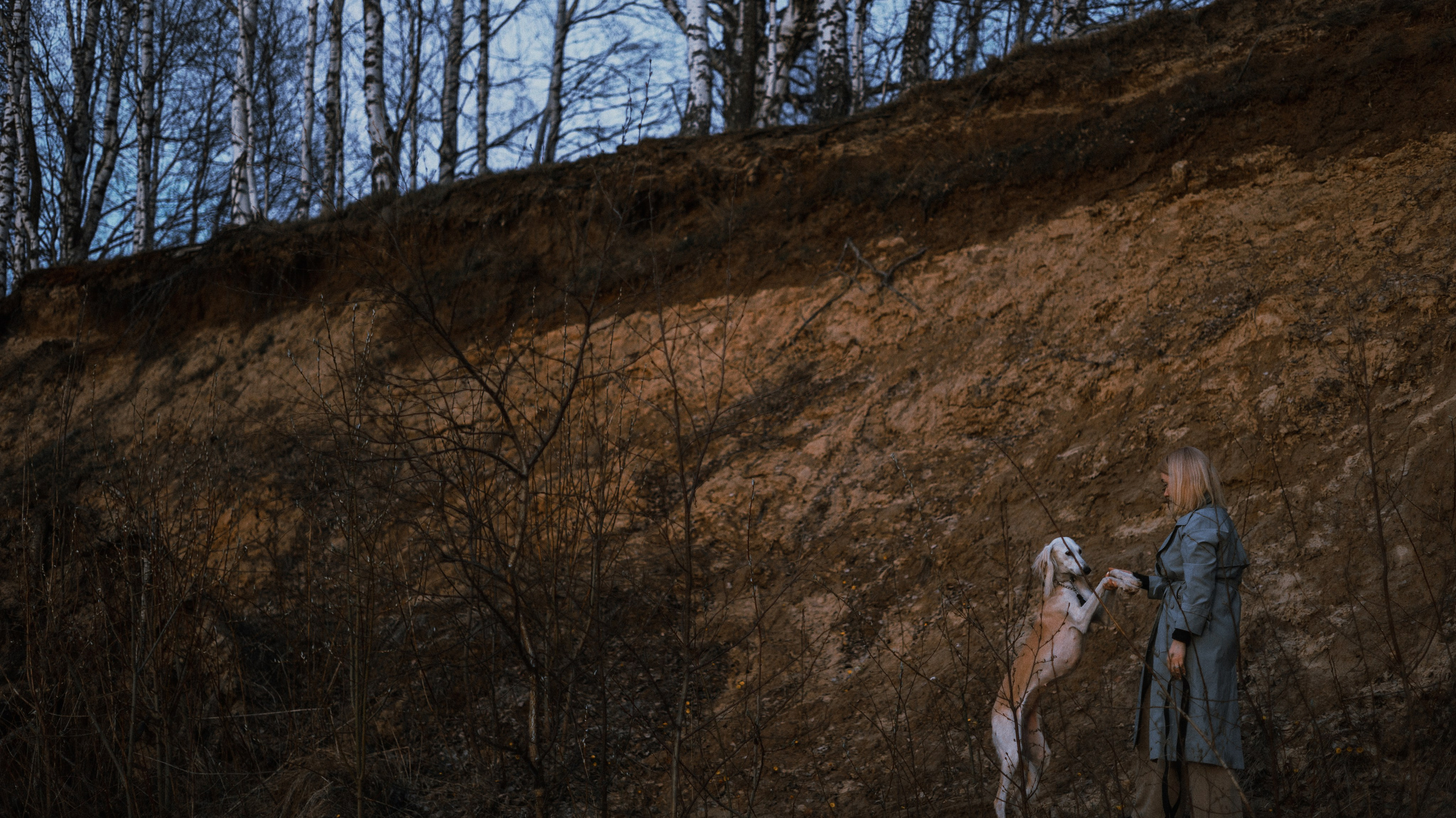 Настя и Бейда. Фотограф-анималист Богданова Полина