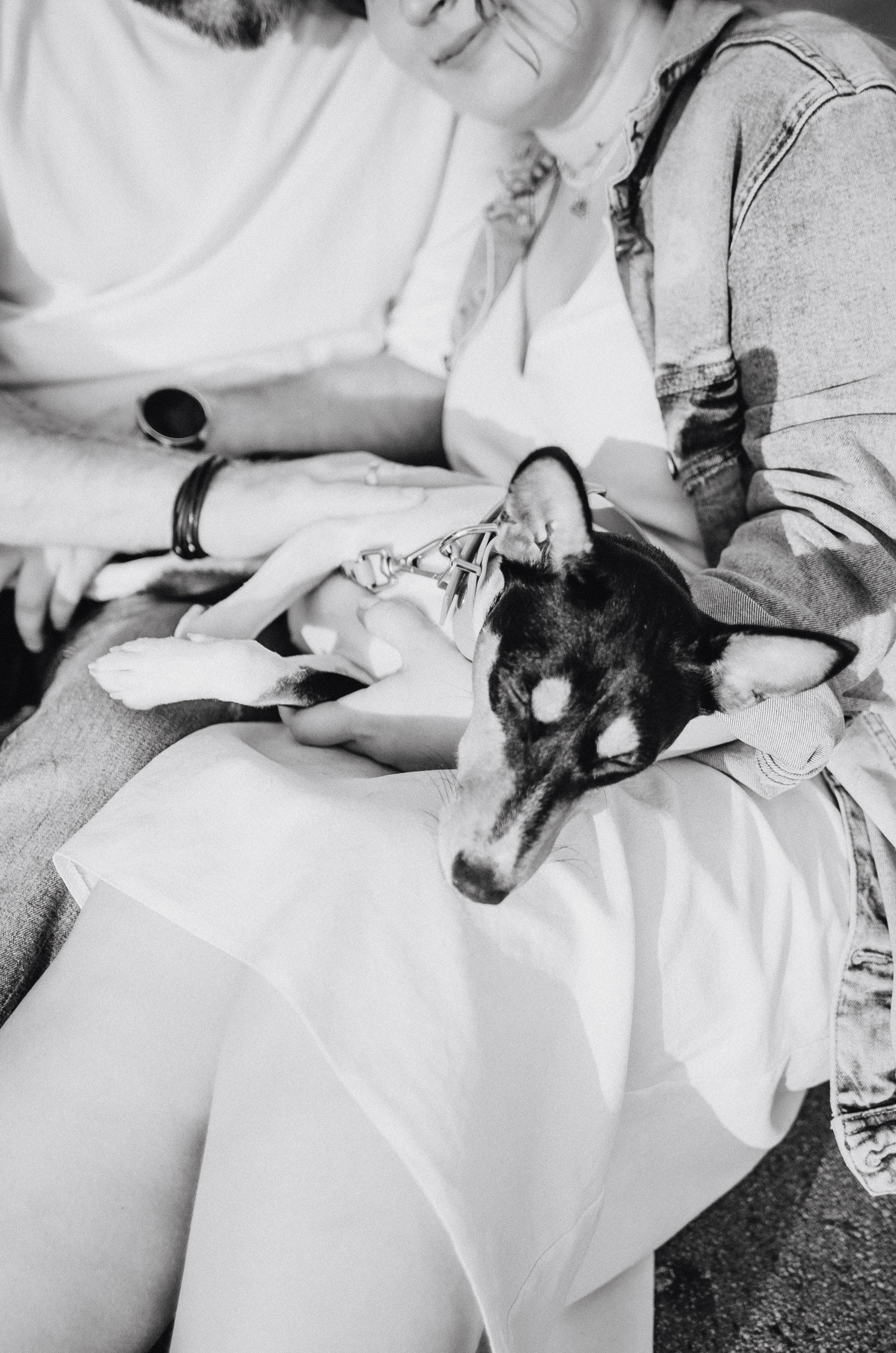 Лена, Никита и Эсма. Фотограф-анималист Богданова Полина