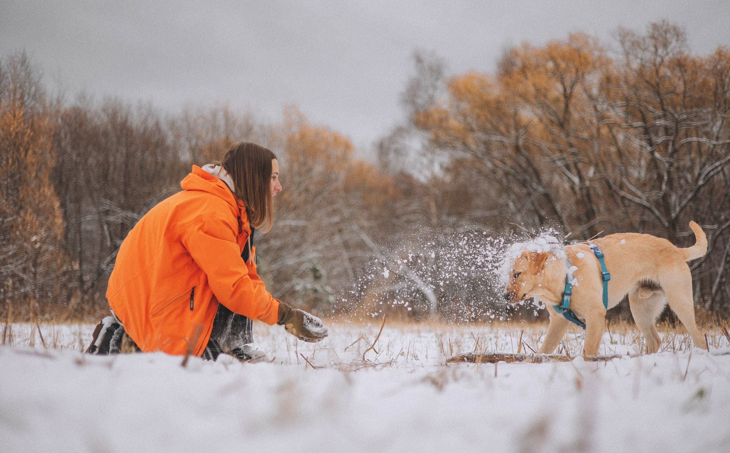 Маргарита и Варди. Фотограф-анималист Богданова Полина