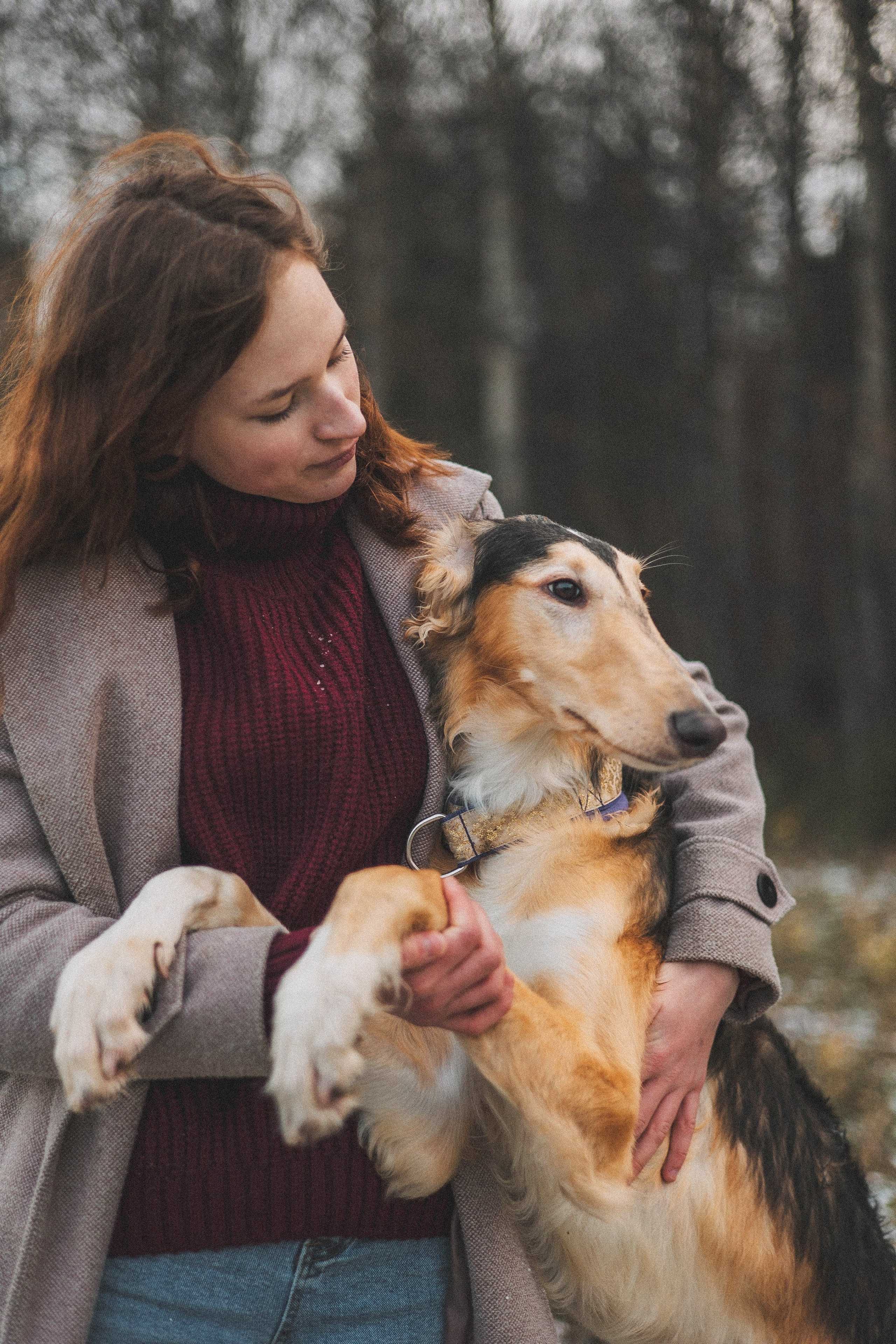 Алена, Леви и Микаса. Фотограф-анималист Богданова Полина