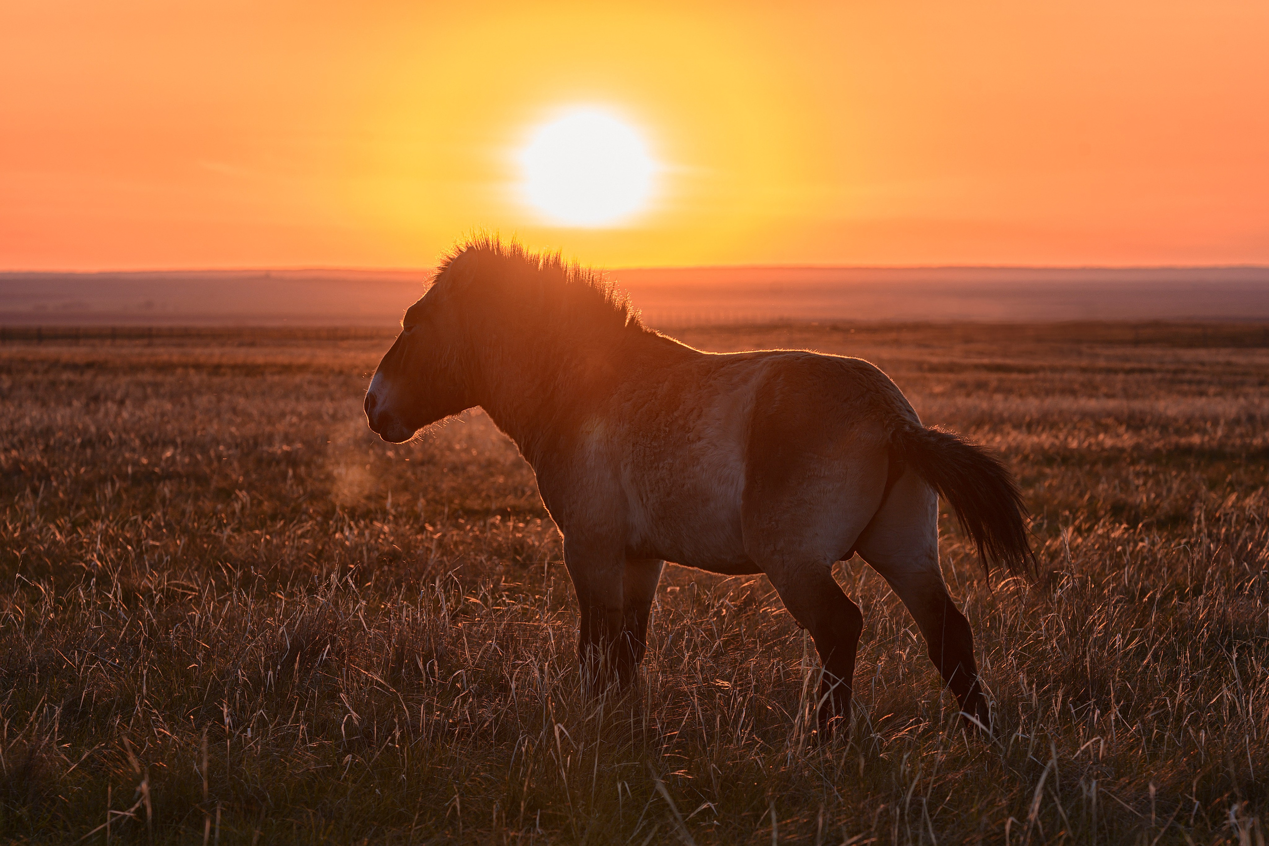 Оренбуржье. Портретный фотограф в Челябинске Катерина Руди