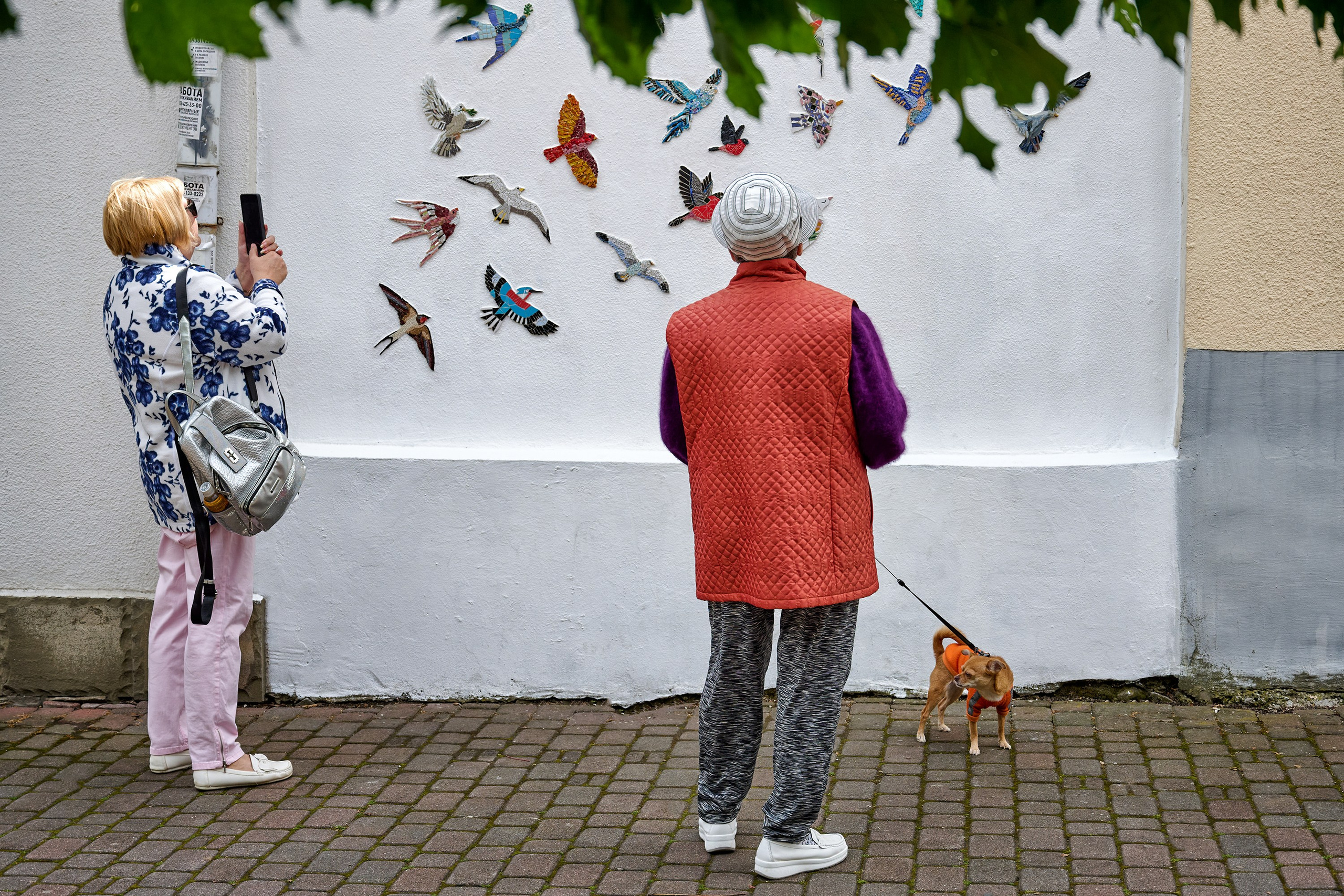 Жизнь, люди, стрит, вокруг, животные, на улице. Яркие фото на Чёрном море