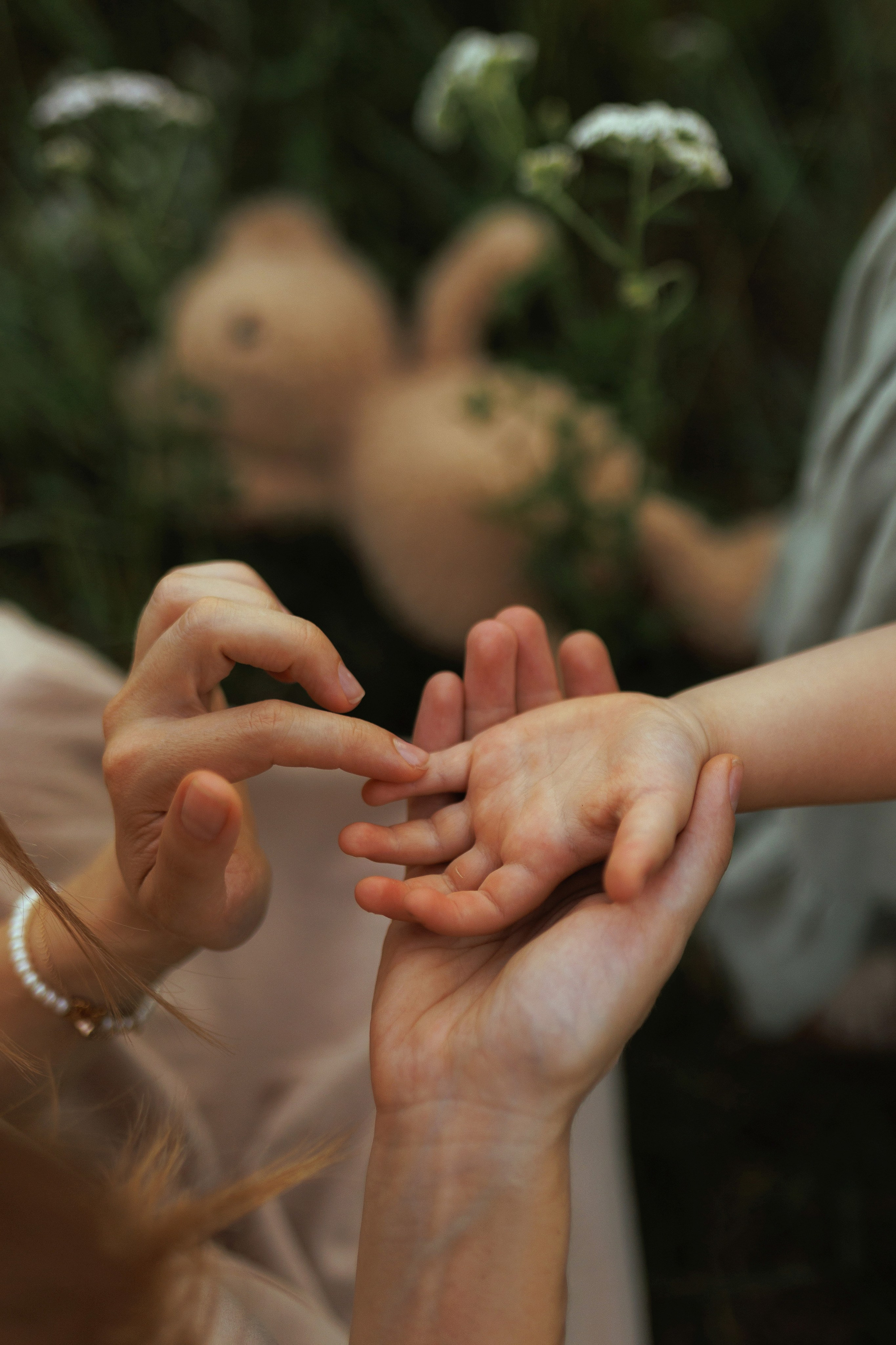 В ромашковом поле. Фотограф в Красногорске и Москве