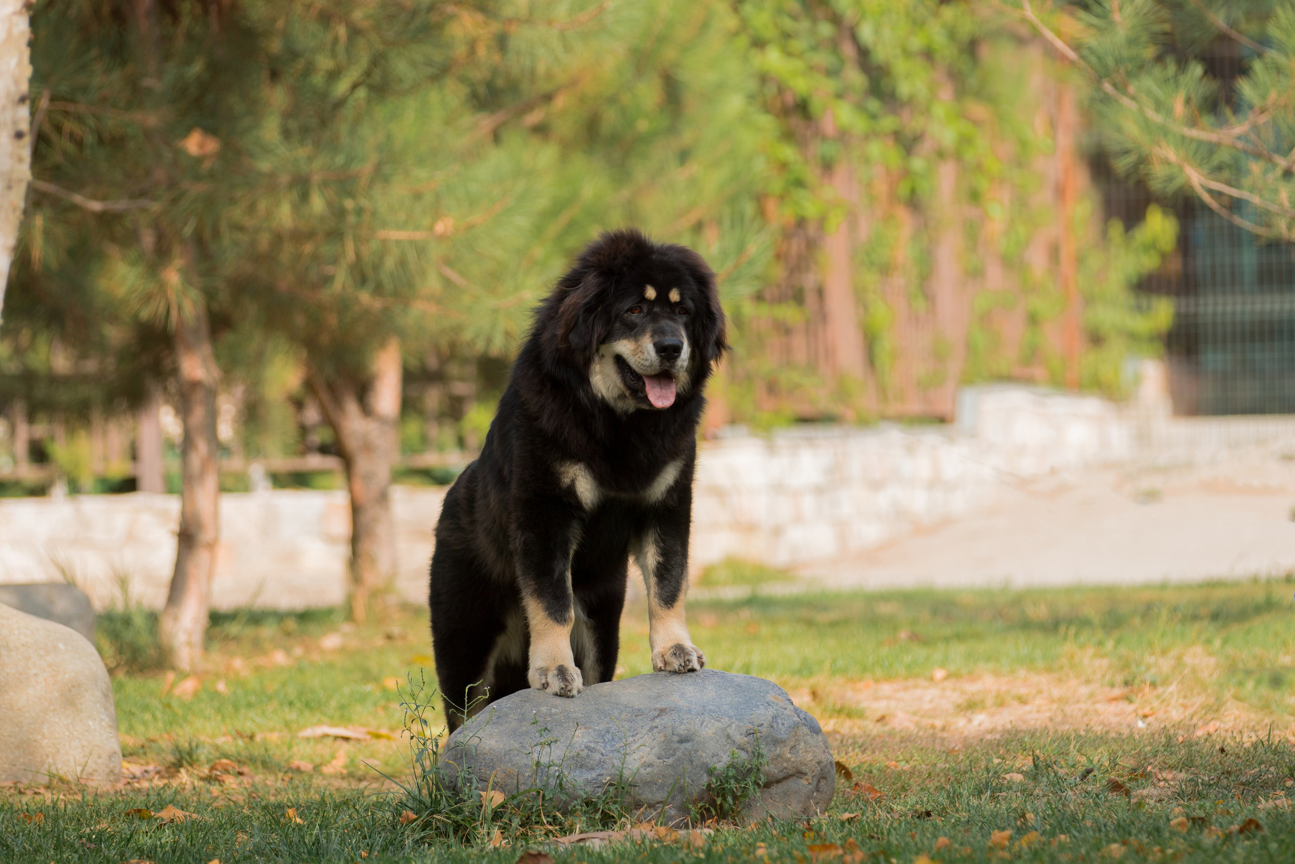 Ташкент 6-8.10.2023 + Алматы 14-15.10.2023. Фотограф-анималист Юлия Германика