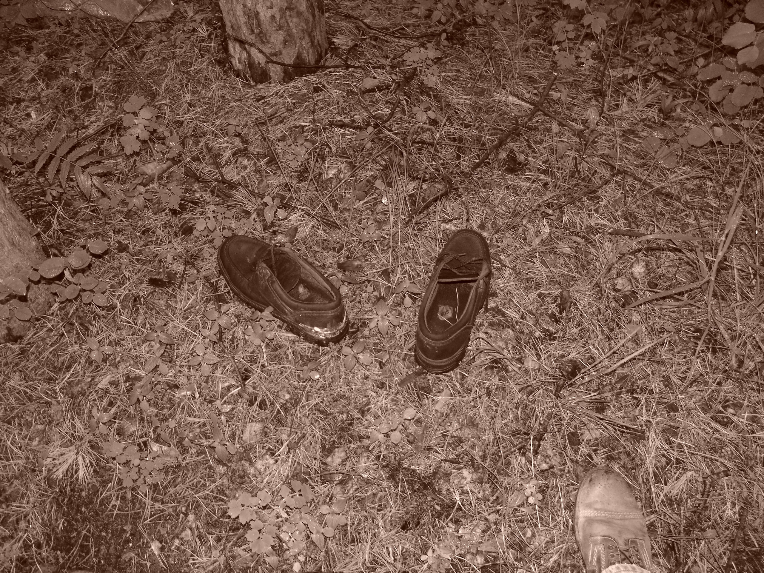 Приезд КС 2005. Заставка