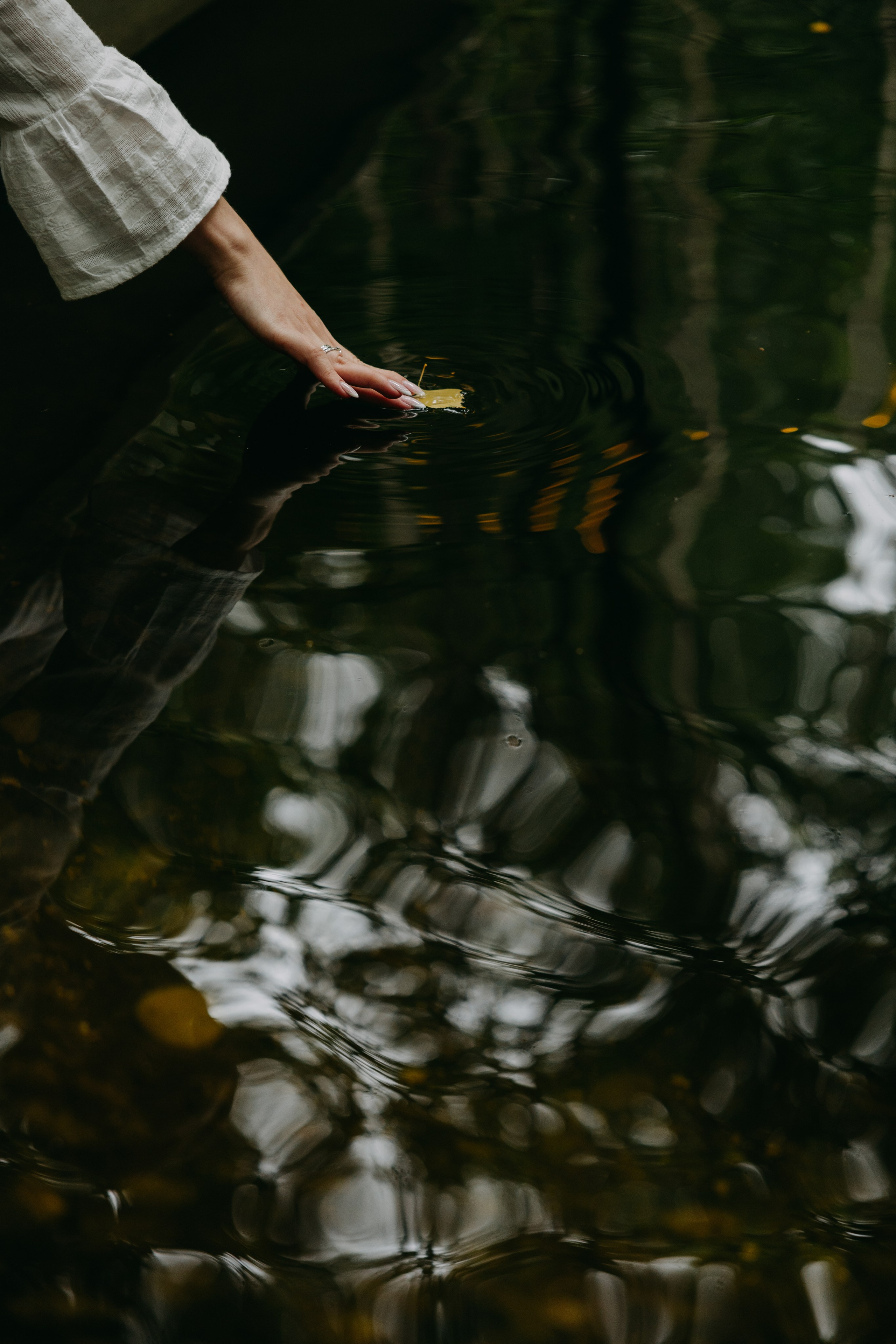 Ирина и Алексей | банкет Forest Dew. Свадебный фотограф Москва Анастасия Храмова