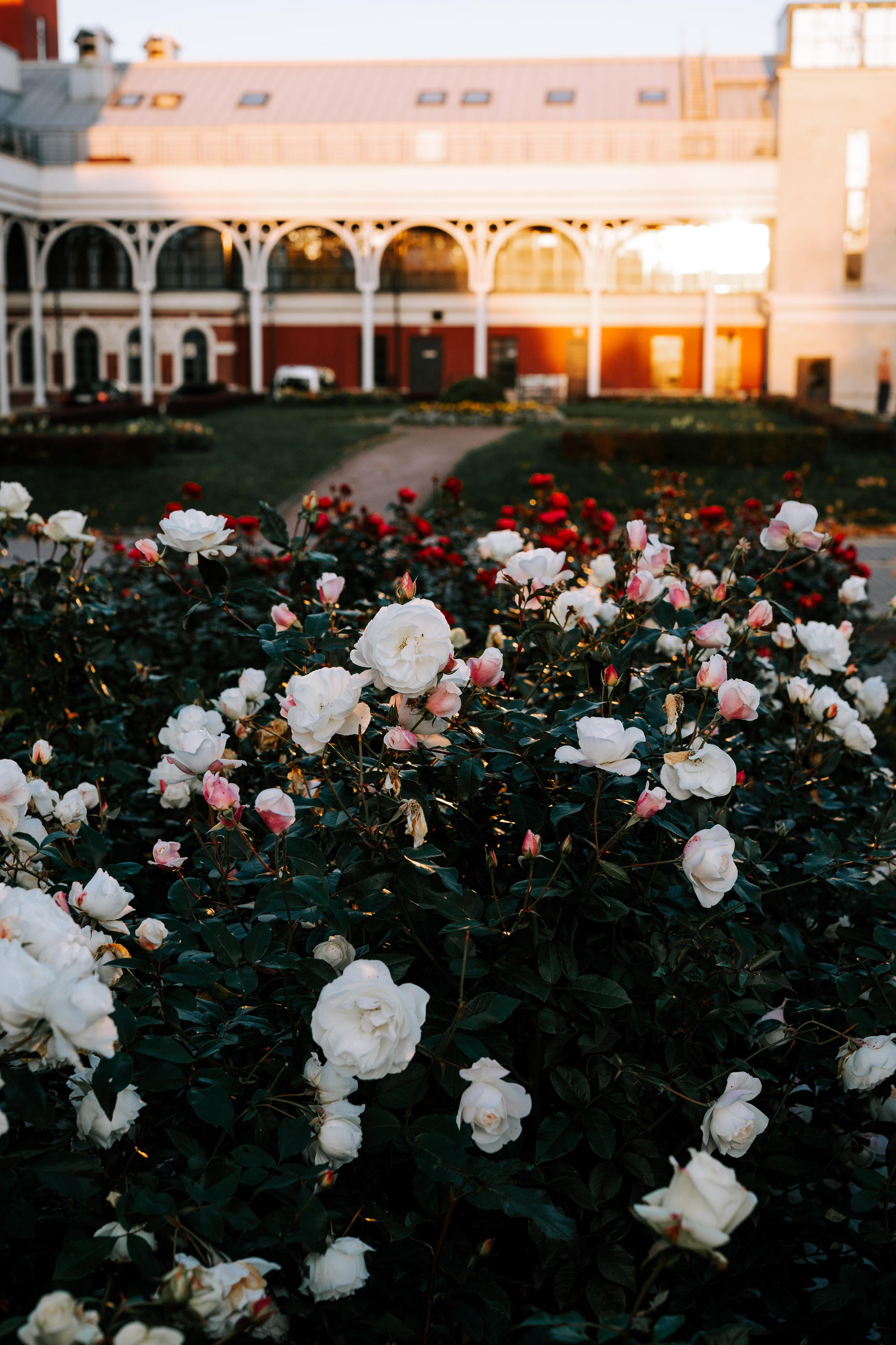 Санкт-Петербург. Фотограф в Санкт-Петербурге